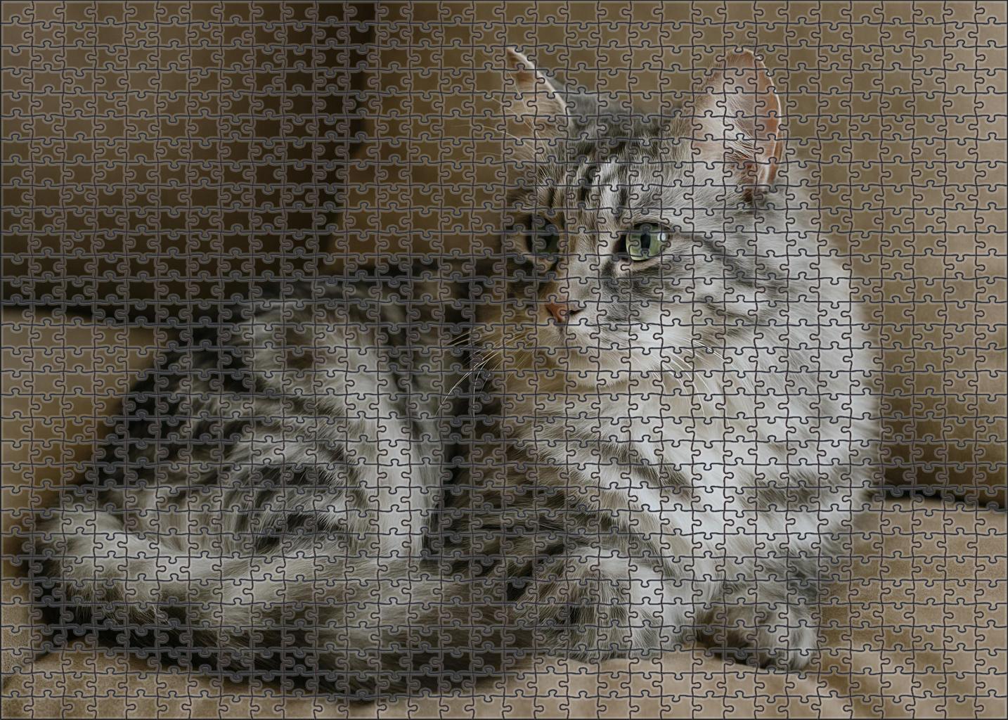 Marbled Pearl Soft Gray And White Marbled Mediumhair With Calm Poise 200 Piece Puzzle