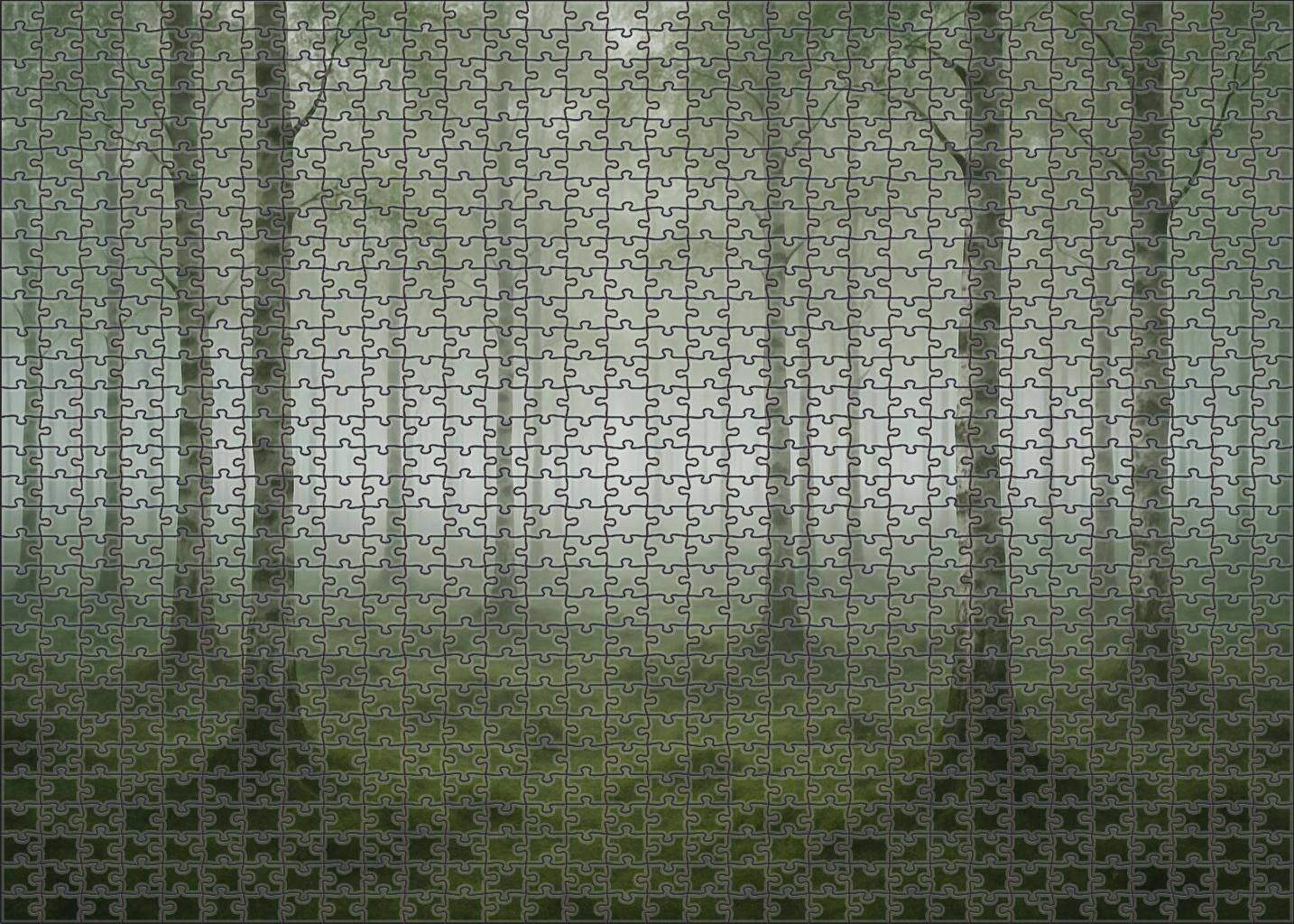 Silent Birch Grove In Morning Mist Puzzle For Kids