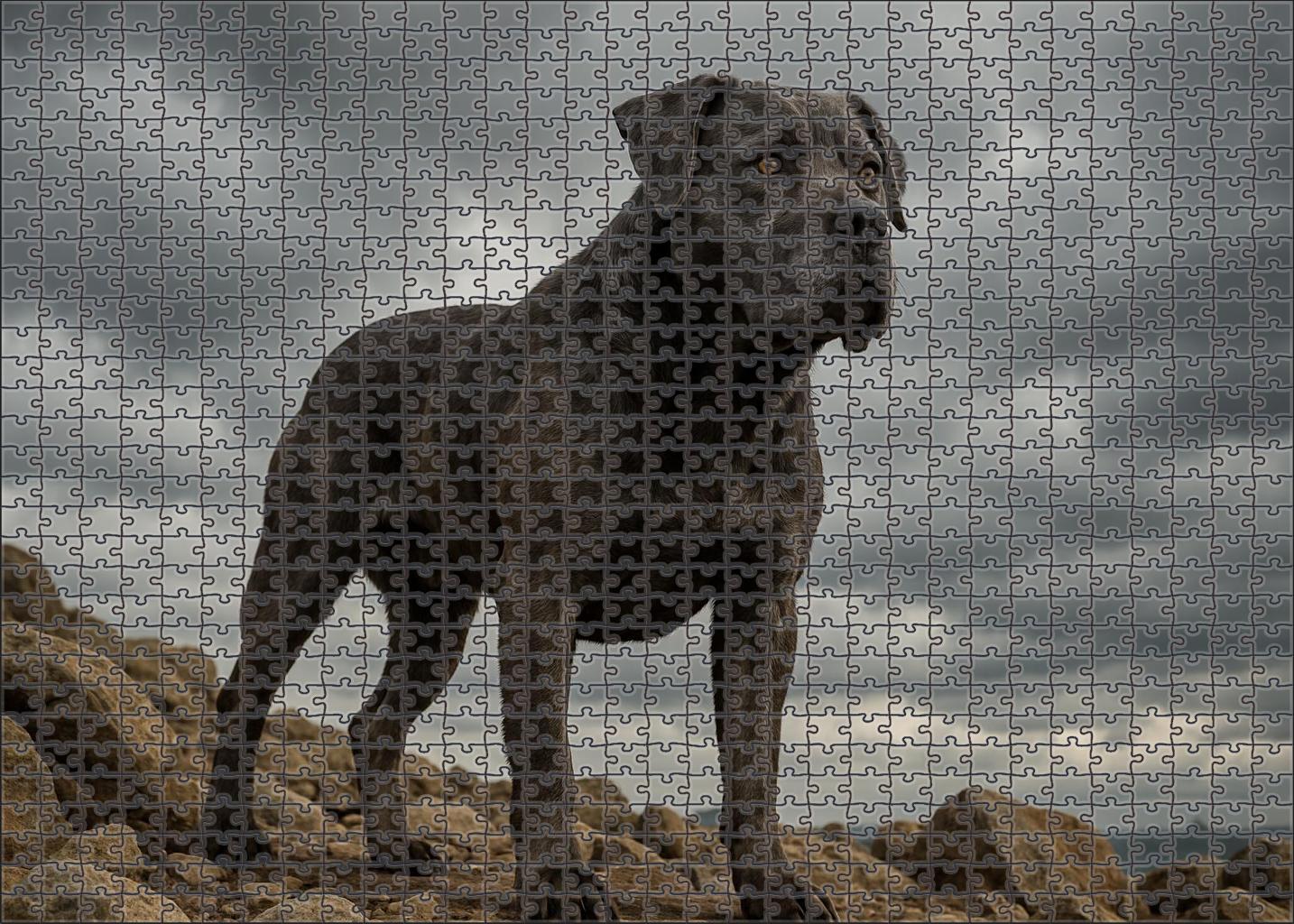 Granite Shield Challenging Puzzles