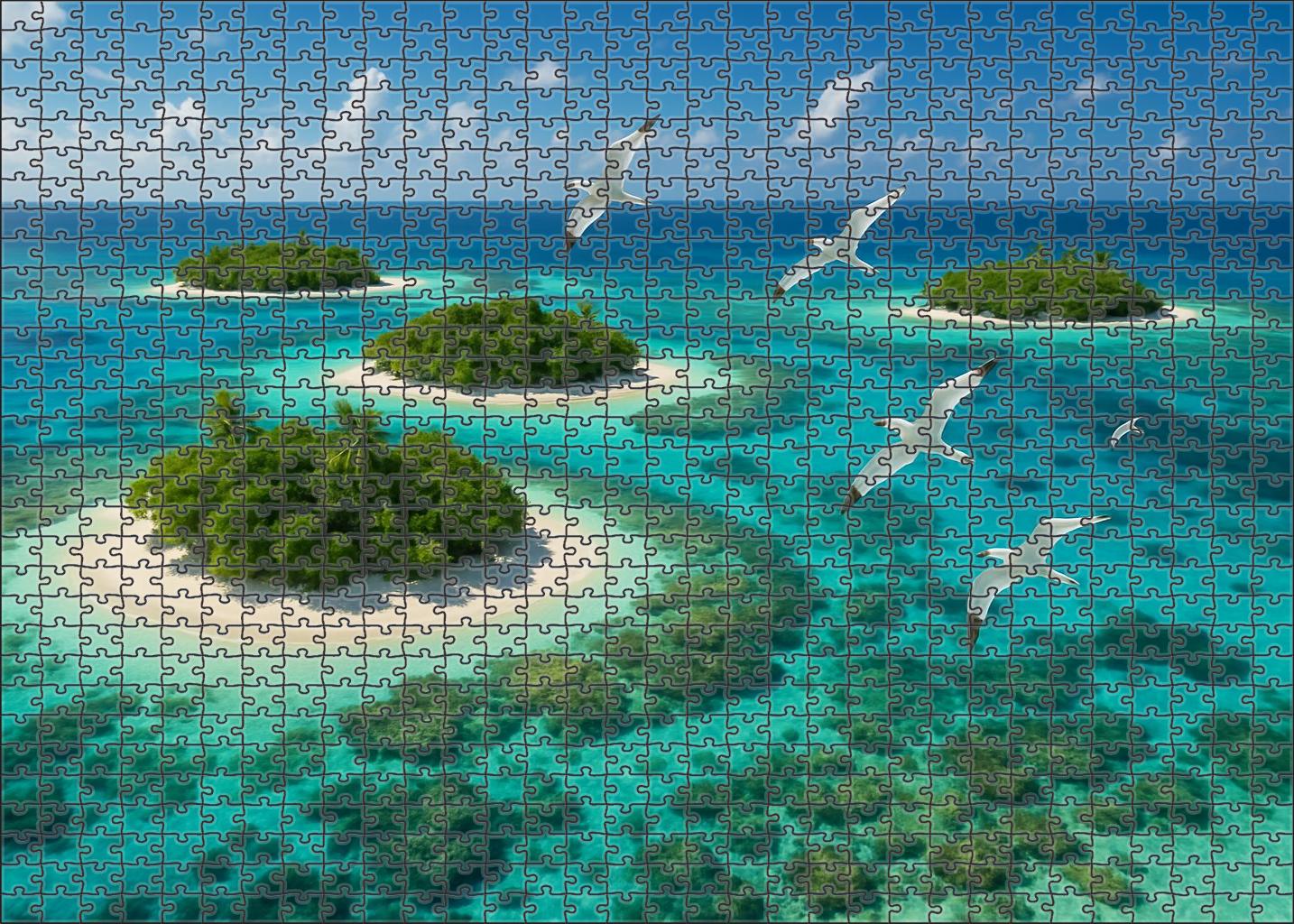 Coral Archipelago Escape Mini Puzzle