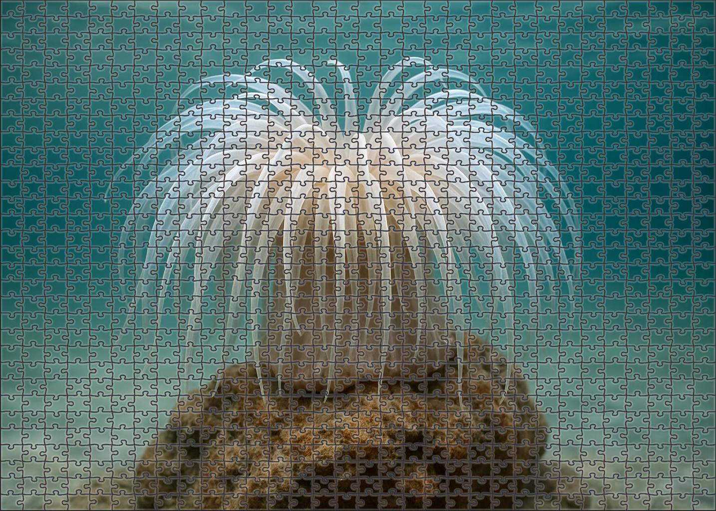Moonveil Anemone Gentle Sea Polyp With Iridescent Flowing Tentacles 200 Piece Puzzle
