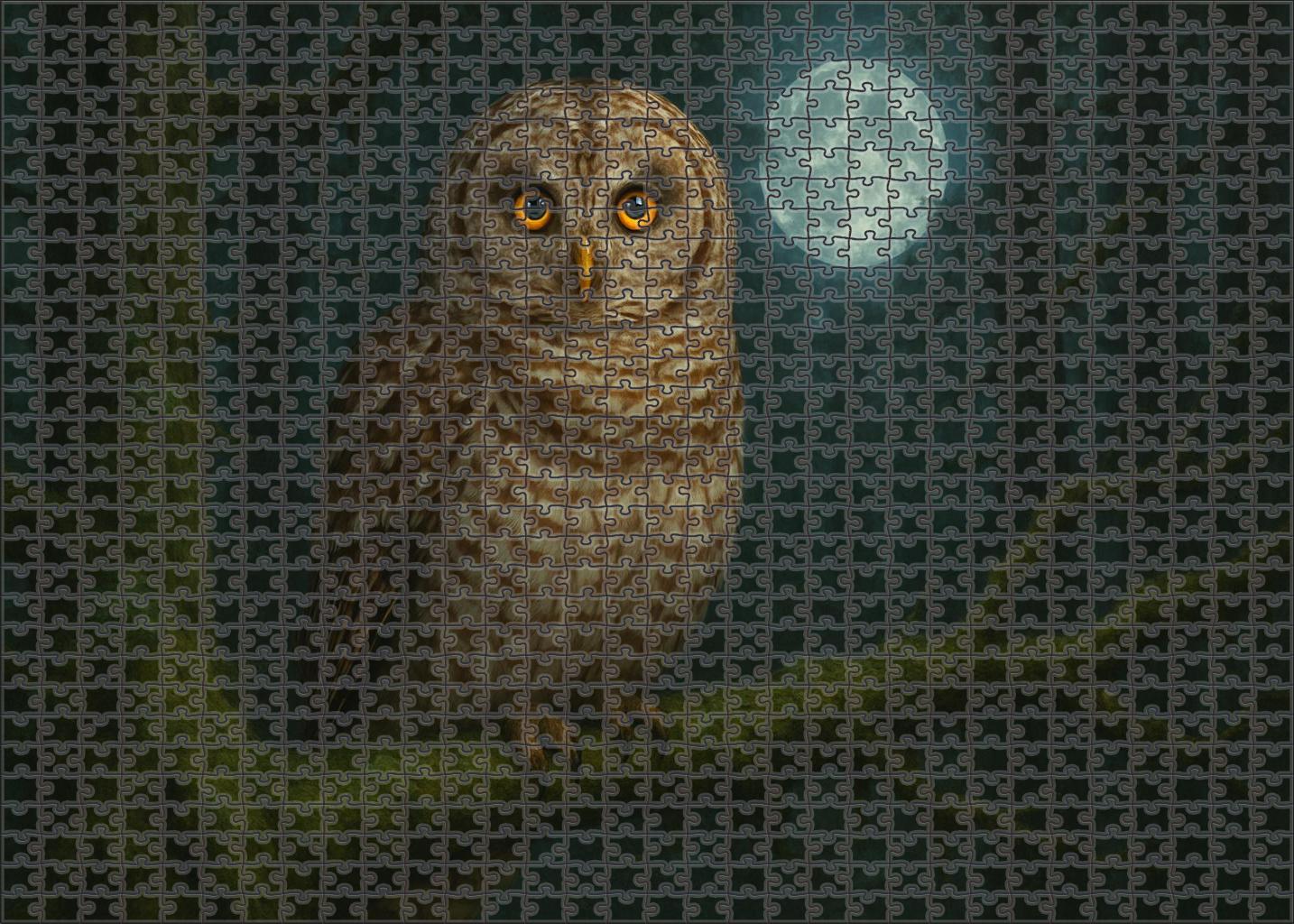 Barred Owl Silent Forest Sentinel Family Puzzles