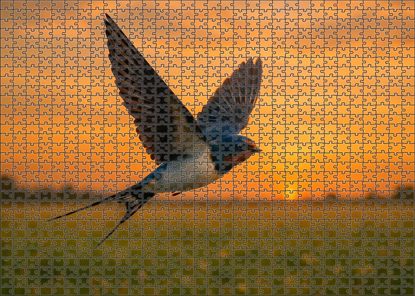 Barn Swallow Aerobatic Wonder Of The Open Sky 300 Piece Puzzle
