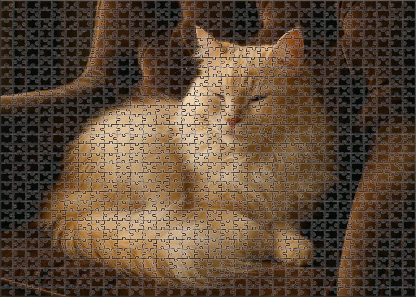Ivory Cascade Longhaired Cream-colored Cat With Serene Disposition 200 Piece Puzzle