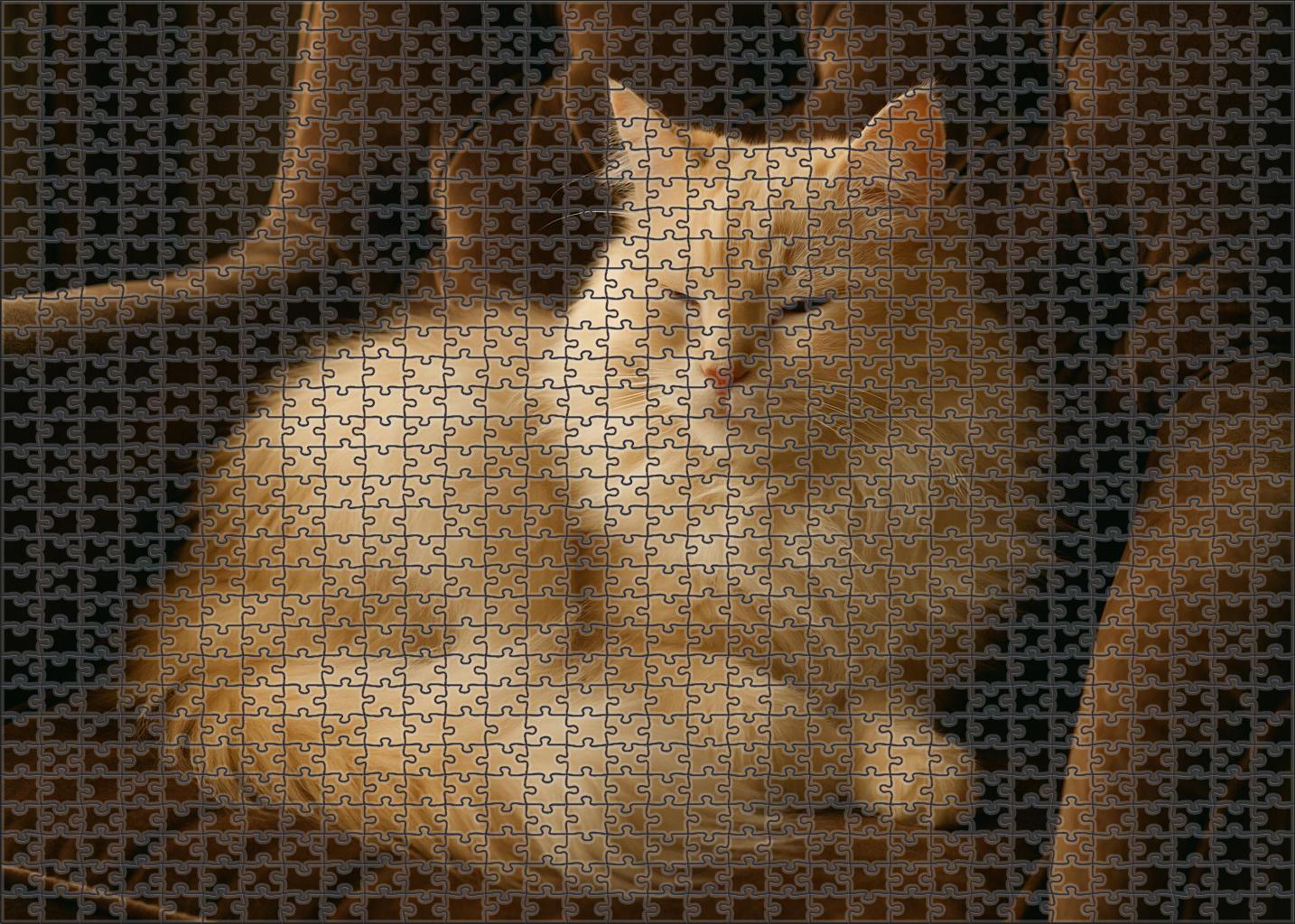 Ivory Cascade Longhaired Cream-colored Cat With Serene Disposition 200 Piece Puzzle
