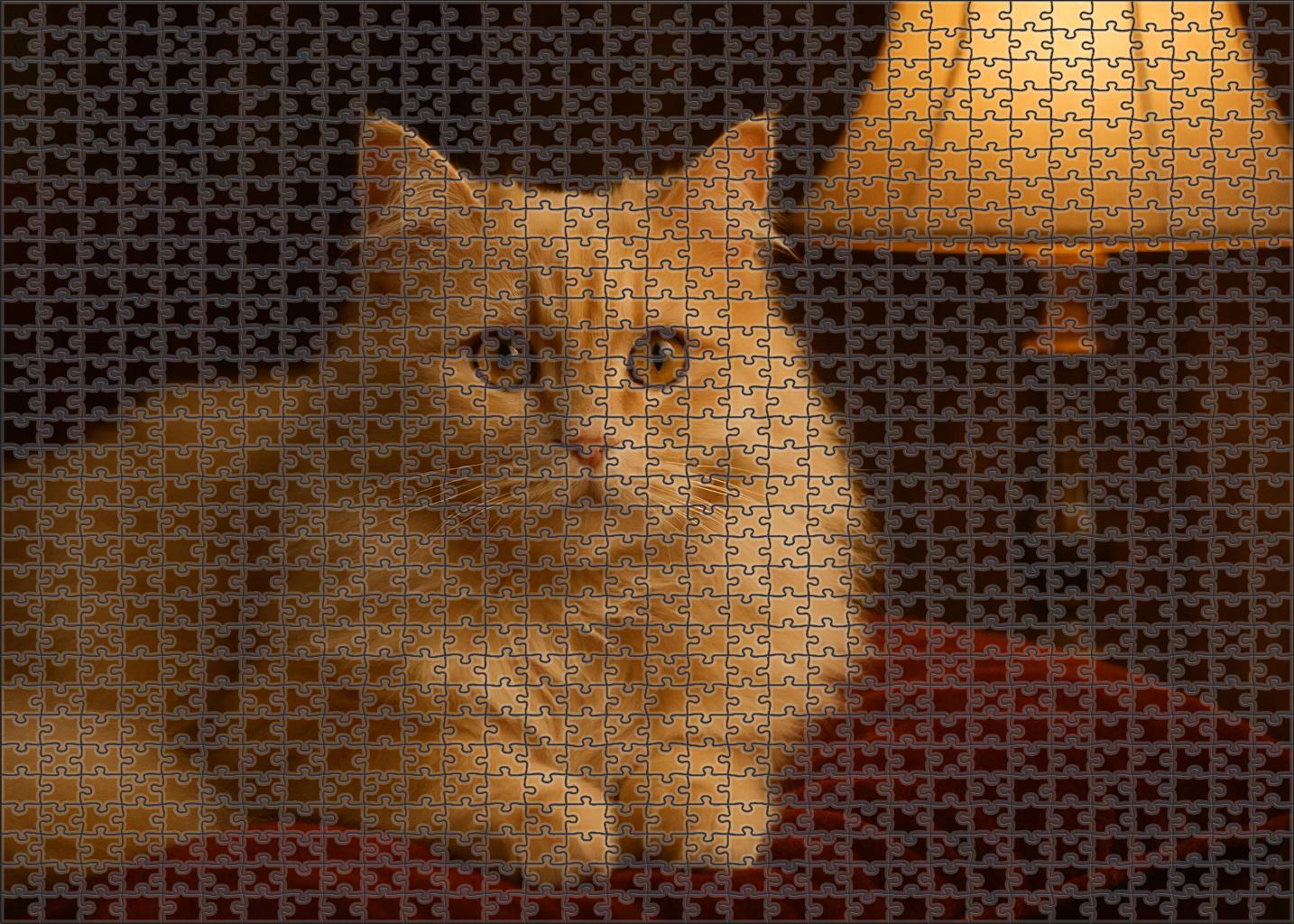 Ivory Velvet Luxurious Cream-colored Longhair With Sweet Nature 20 Piece Puzzle