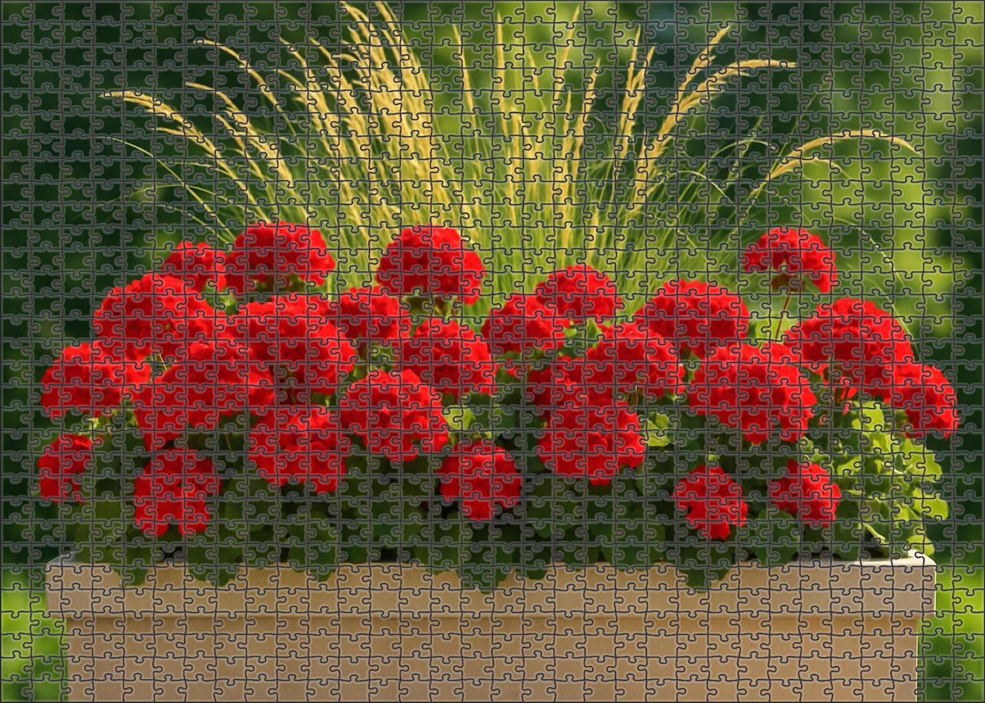 Bold Crimson Edge Planter Family Puzzles