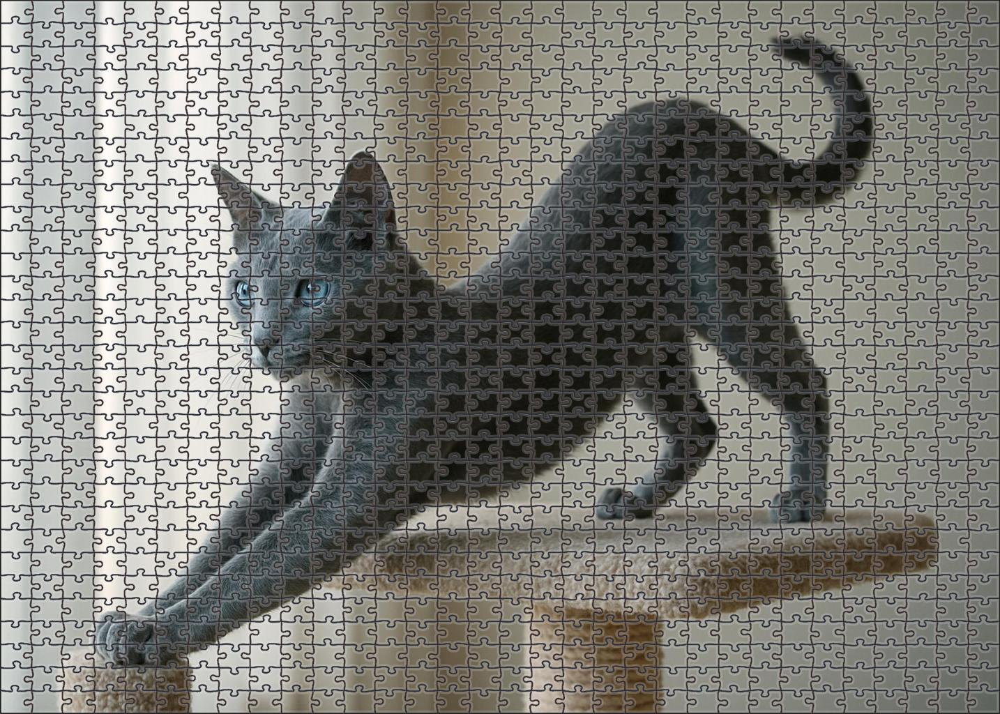 Cloud Dancer Pale Blue-gray Shortcoat With Agile Spirit Unique Puzzle Design