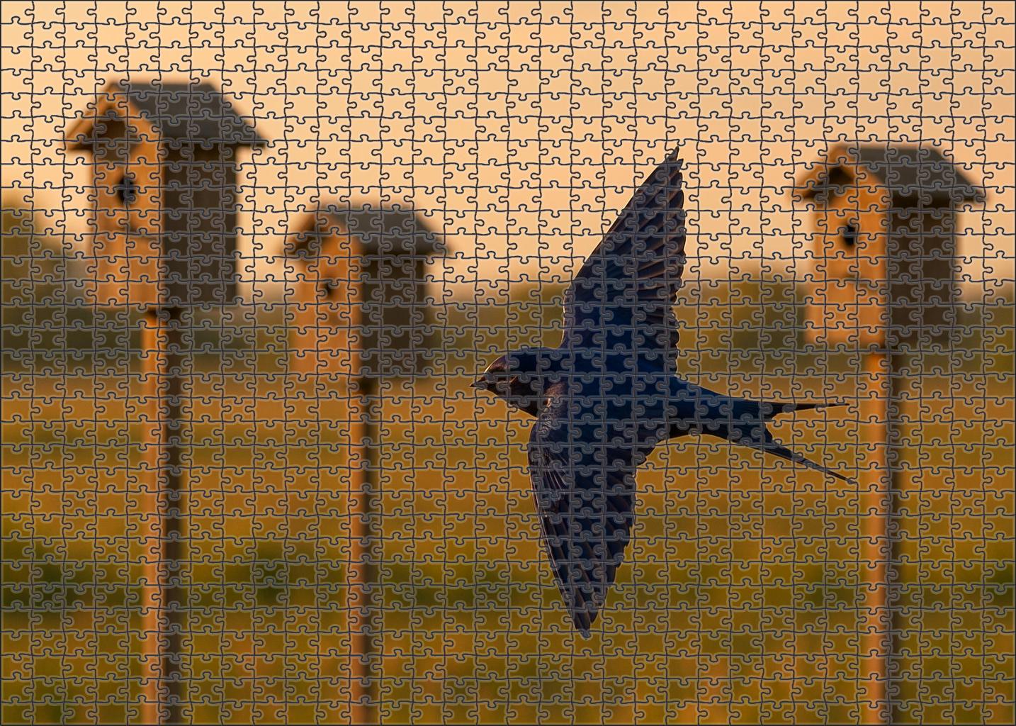 Purple Martin Social Skyscraper Surfer Family Puzzles