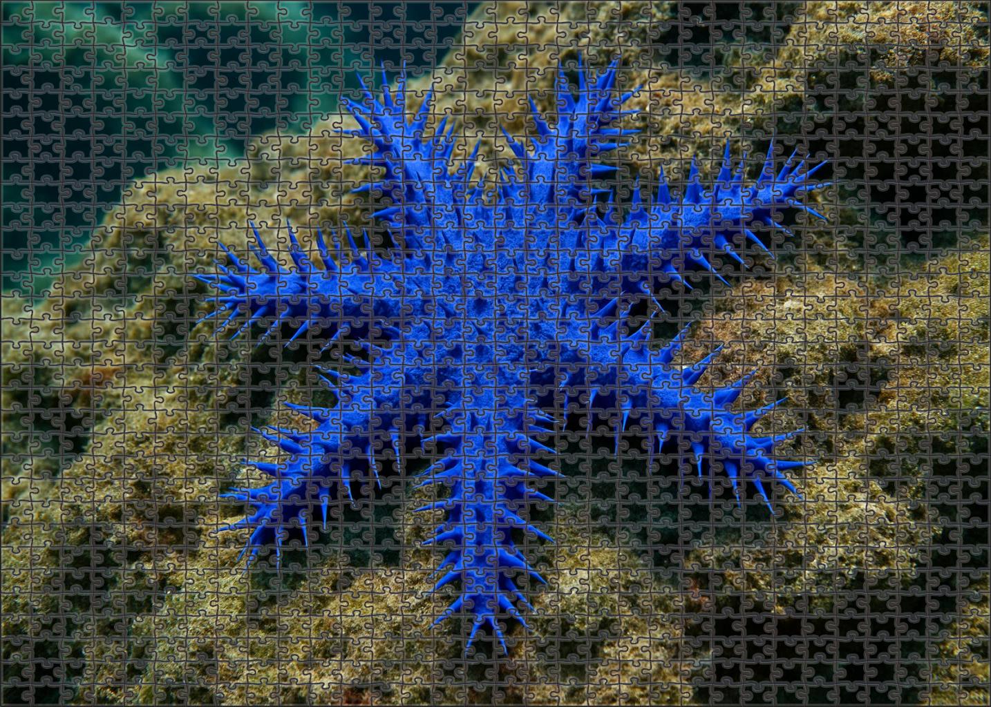 Sapphire Thorn Star Radiant Echinoderm With Vibrant Spiked Rays Mini Puzzle