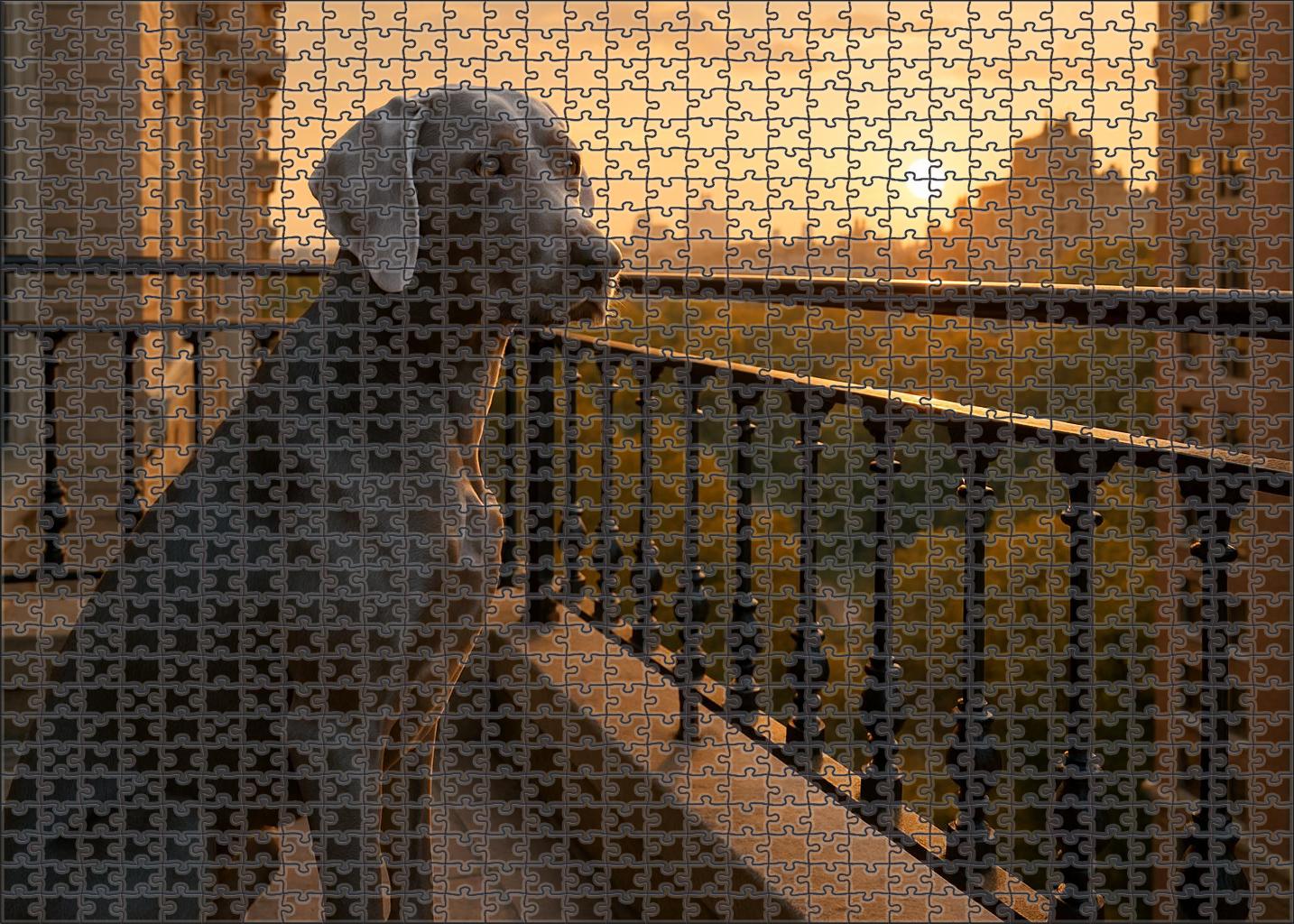 Silver Lining Family Puzzles