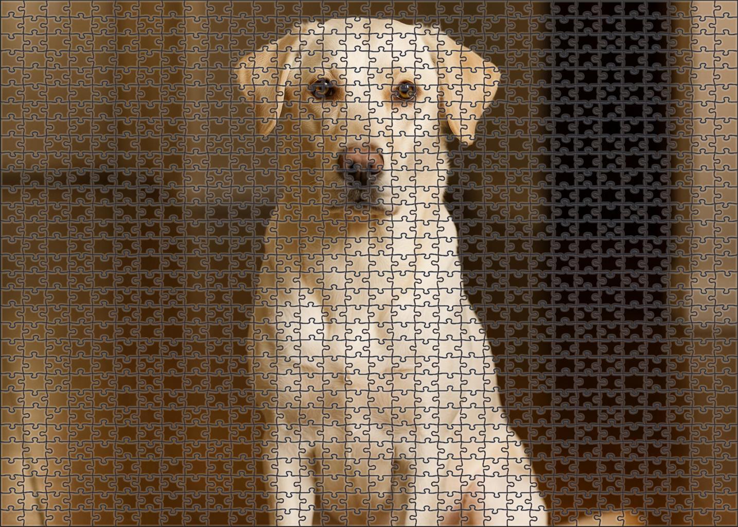 Ivory Crest Challenging Puzzles