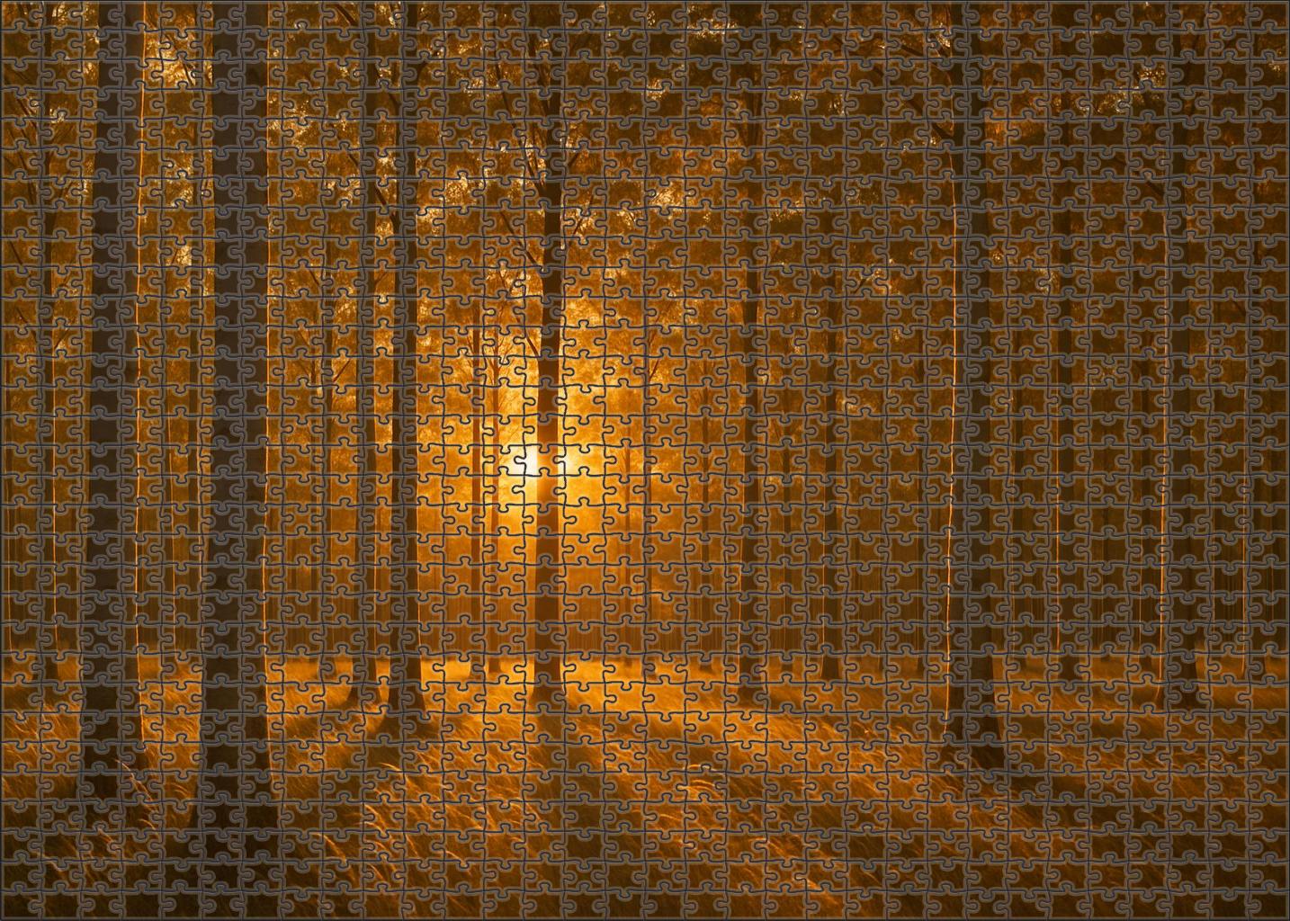 Golden Hour Birch Meadow Easy Puzzles