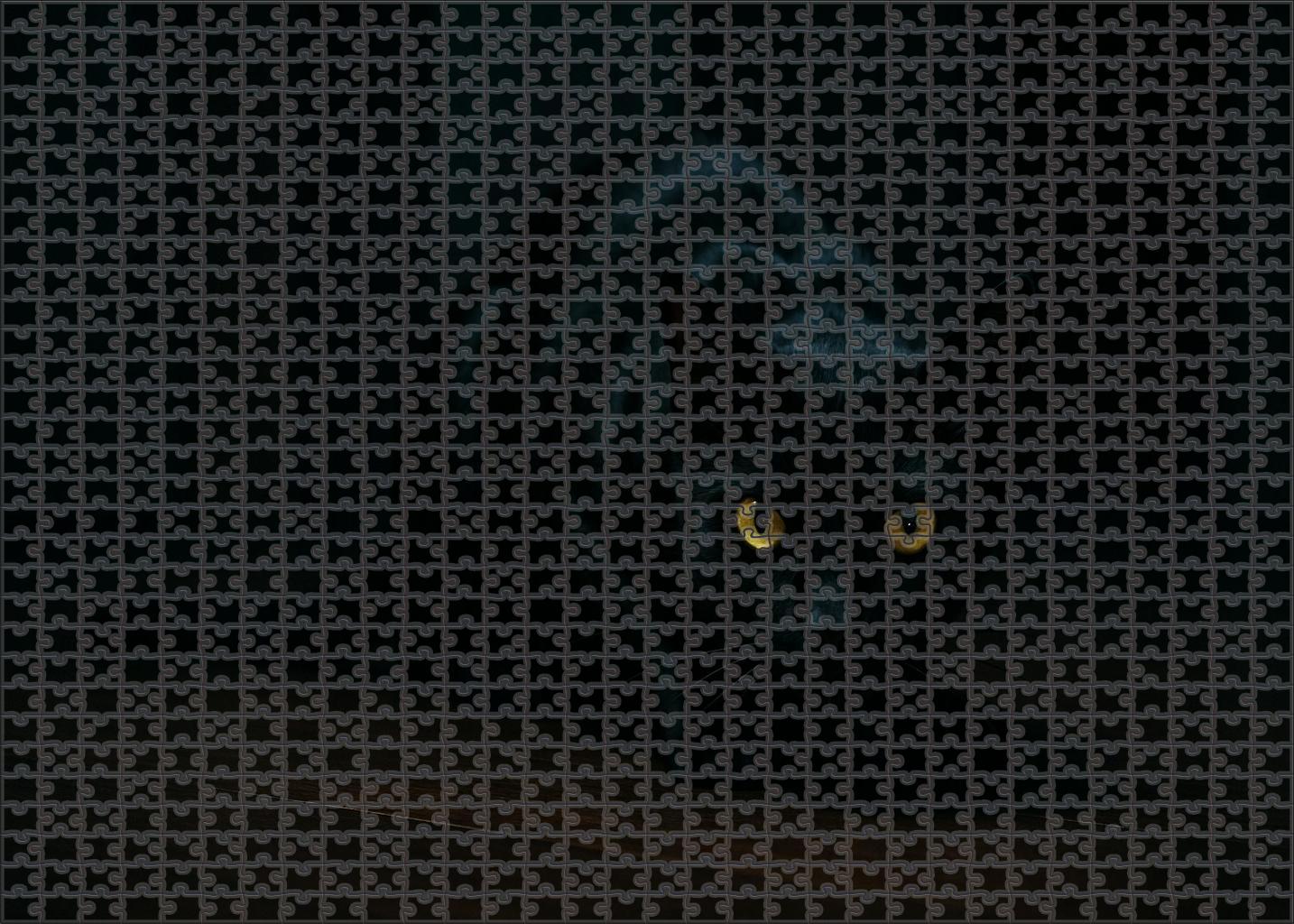 Shadow Silk 200 Piece Puzzle