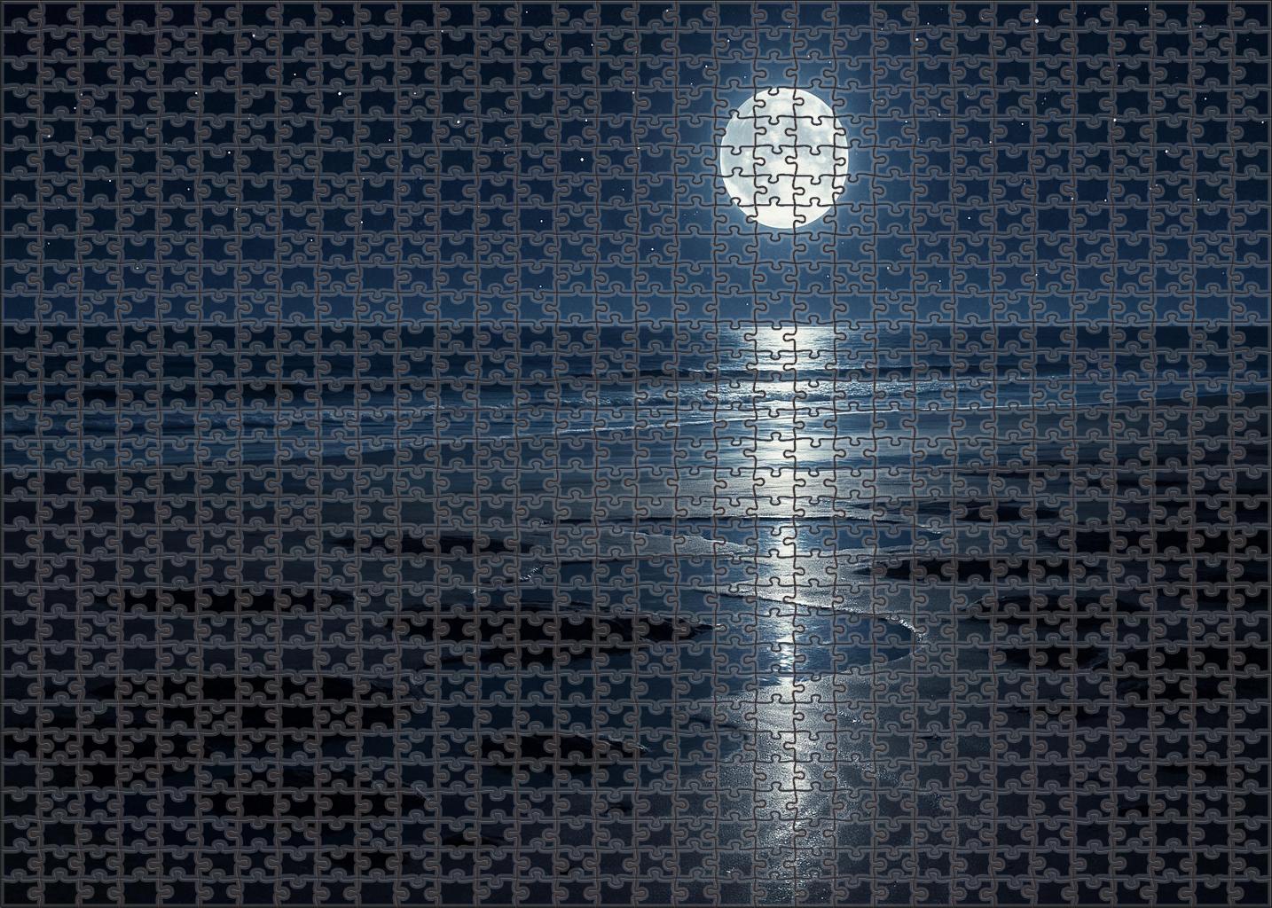 Moonlit Tide Shore Mini Puzzle