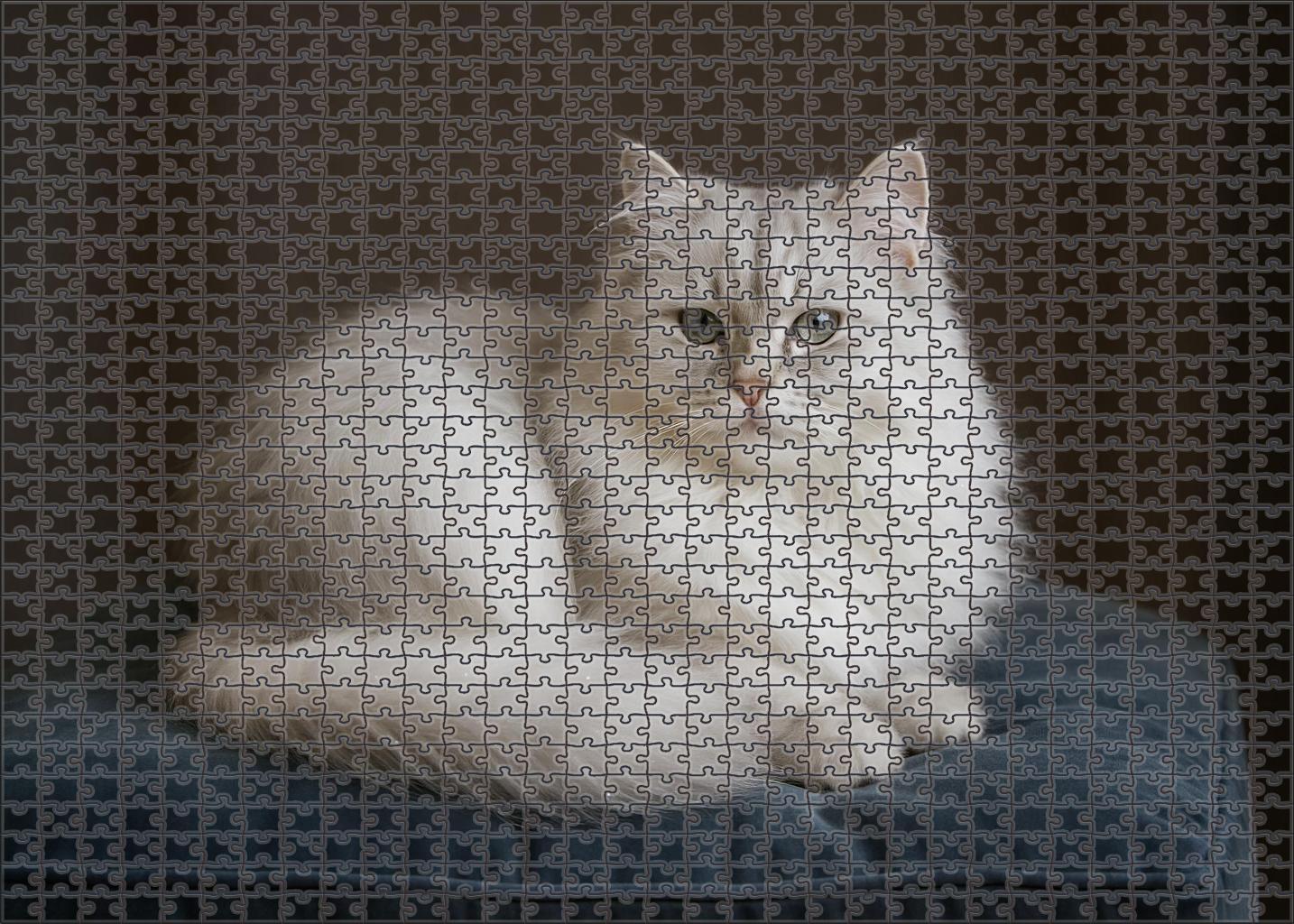 Opal Mist Delicate Silver-white With Mysterious Grace Family Puzzles