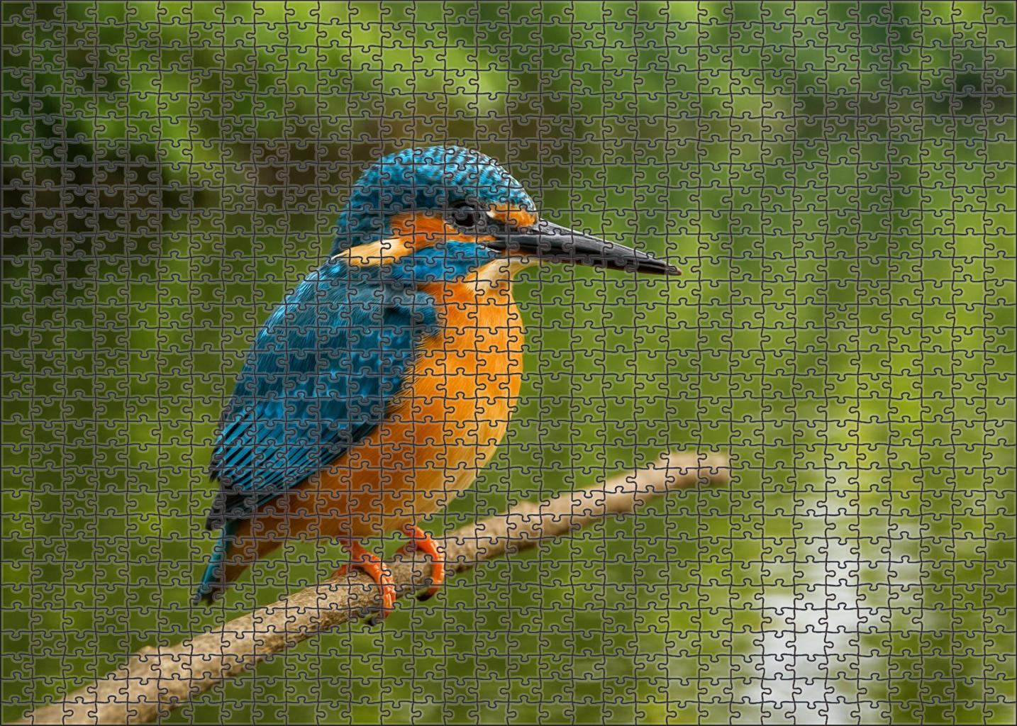 Azure Kingfisher Tiny River Jewel Challenging Puzzles