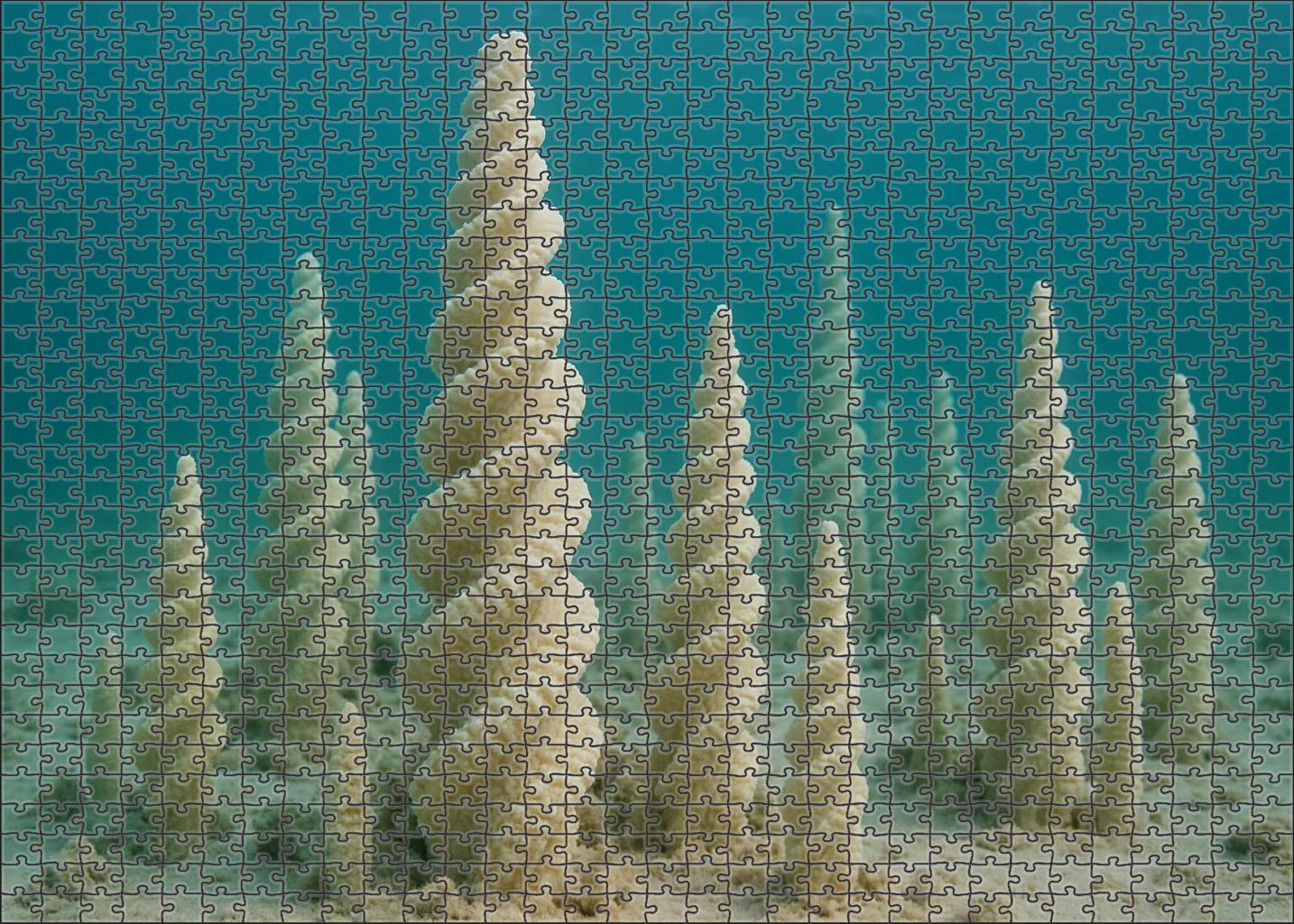 Ivory Spiral Coral Towering Architect Of Intricate Calcium Lattices Puzzle For Adults
