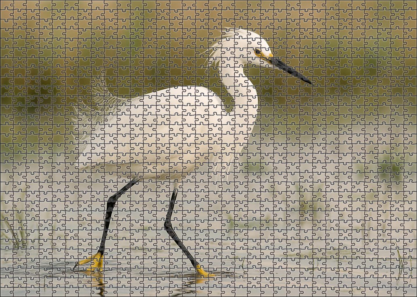 Snowy Egret Graceful Marshland Performer 300 Piece Puzzle