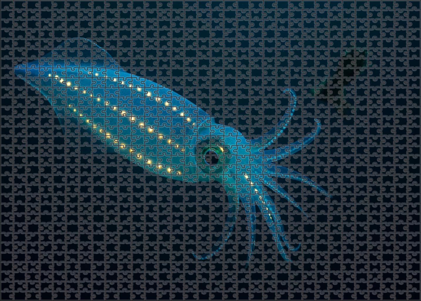 Azure Lantern Squid Bioluminescent Cephalopod With Twinkling Photophores Mini Puzzle