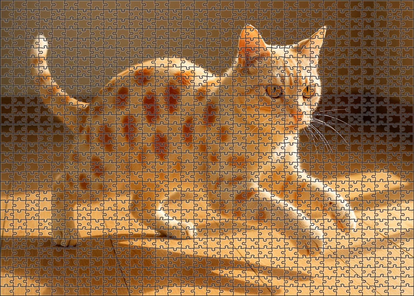 Crimson Whirl Vibrant Red-spotted Shorthair With Adventurous Spirit Puzzle Fun