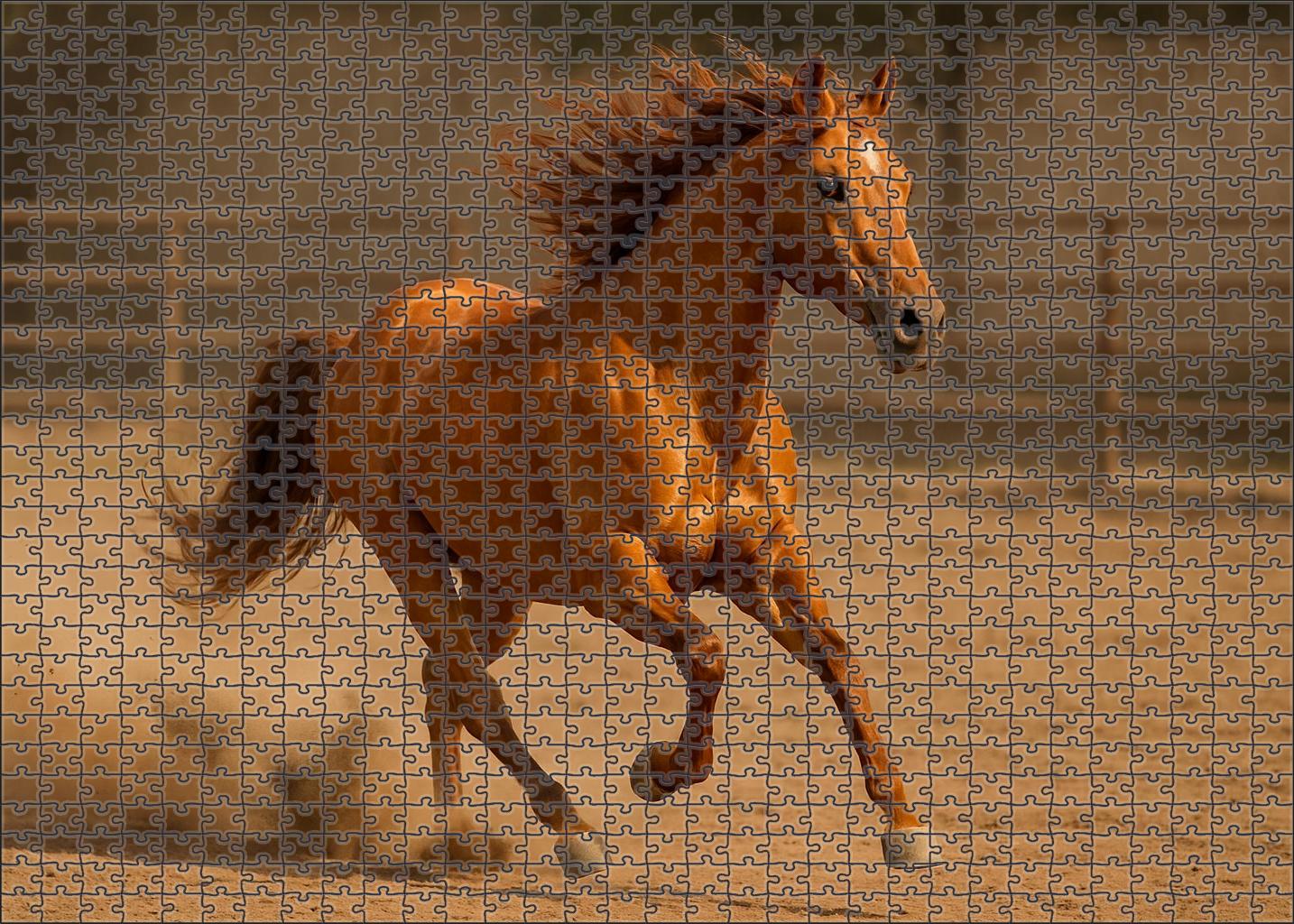 Amber Rose Stock Horse Large Format Puzzle