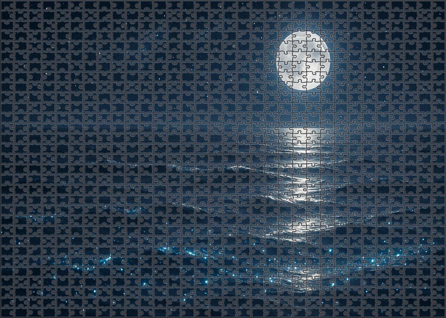 Silver Moonlight Swell 300 Piece Puzzle