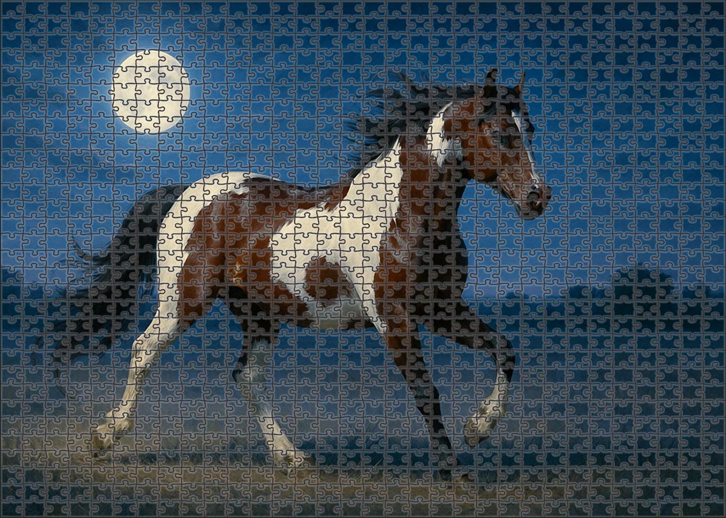 Twilight Dancer Moonlight Bay Pinto Mare With Spirited Energy Puzzle For Kids