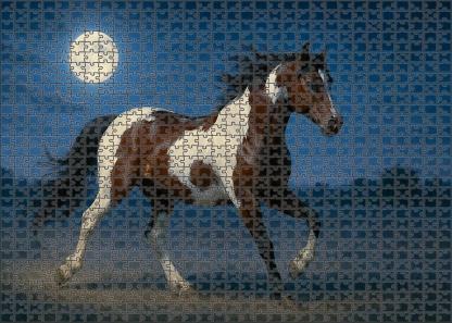 Twilight Dancer Moonlight Bay Pinto Mare With Spirited Energy Puzzle For Kids