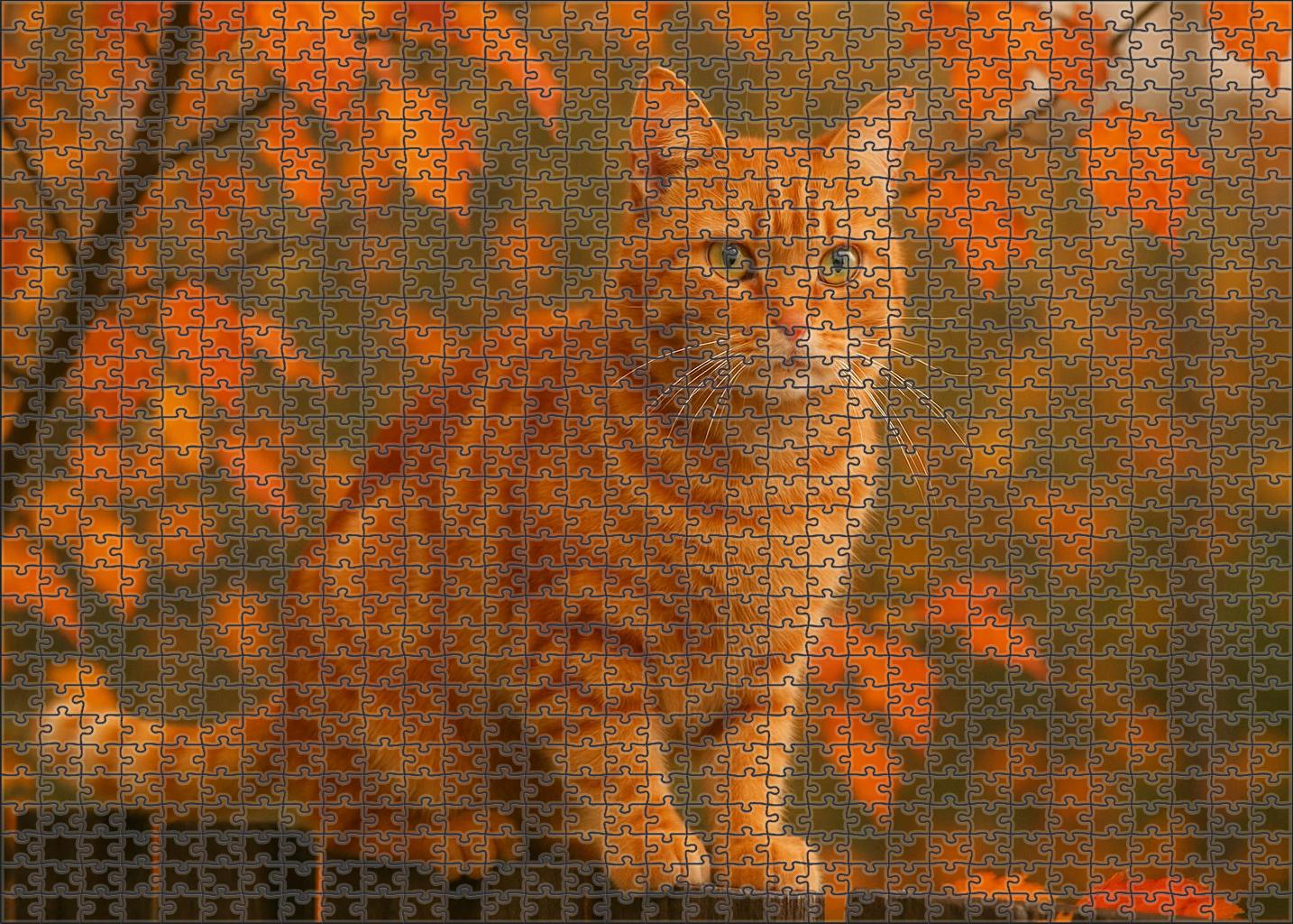Crimson Whisker Fiery Red Tabby With Spirited Charm 200 Piece Puzzle