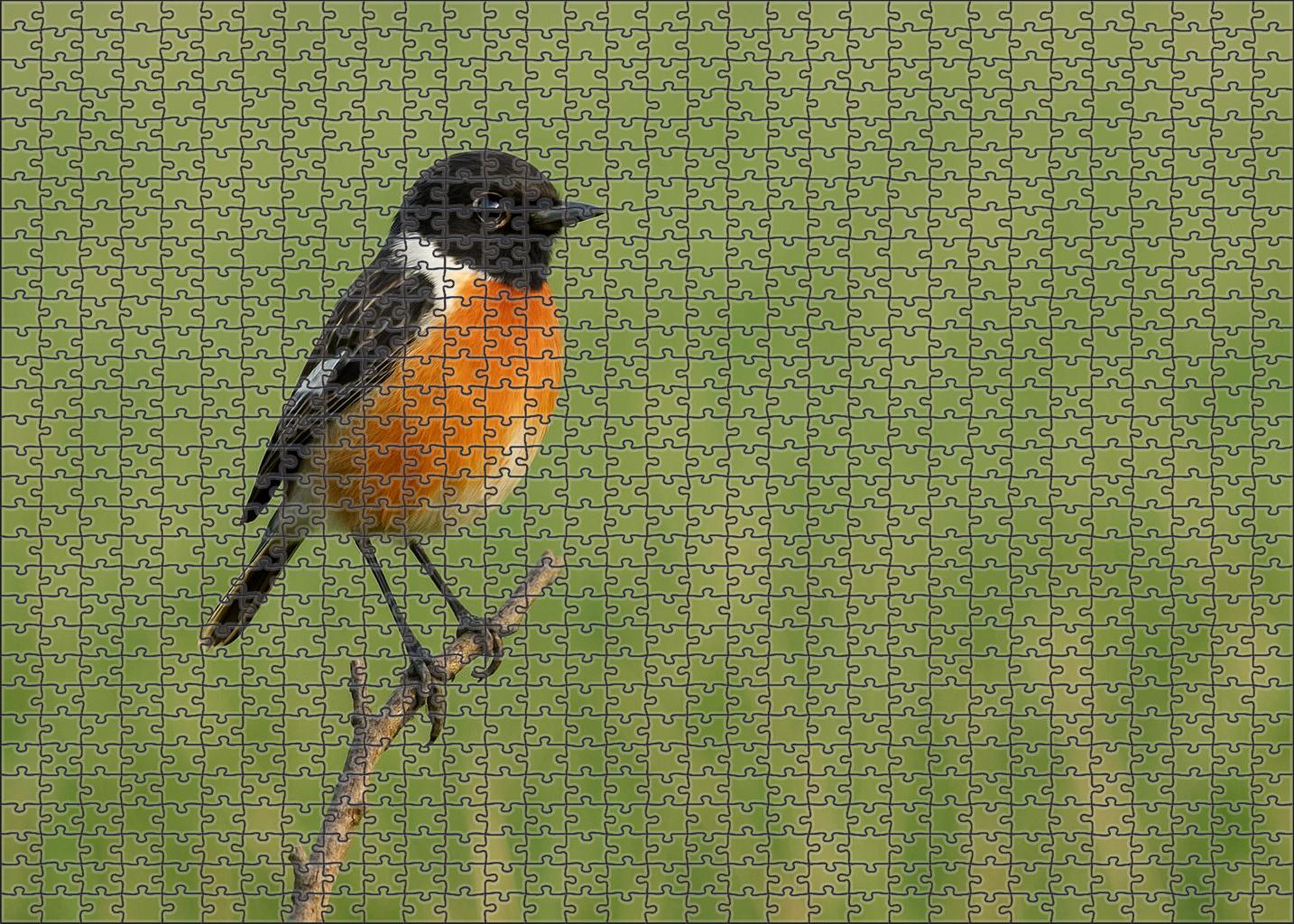 Stonechat The Alert Sentinel Premium Puzzle Pieces