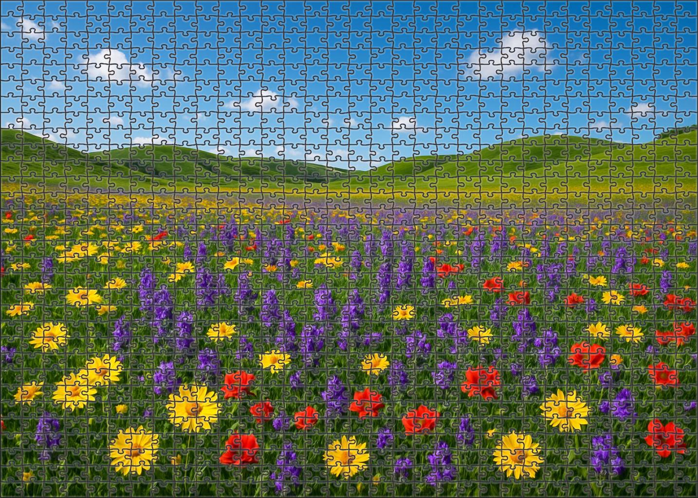 Wildflower Meadow Vista 100 Piece Puzzle