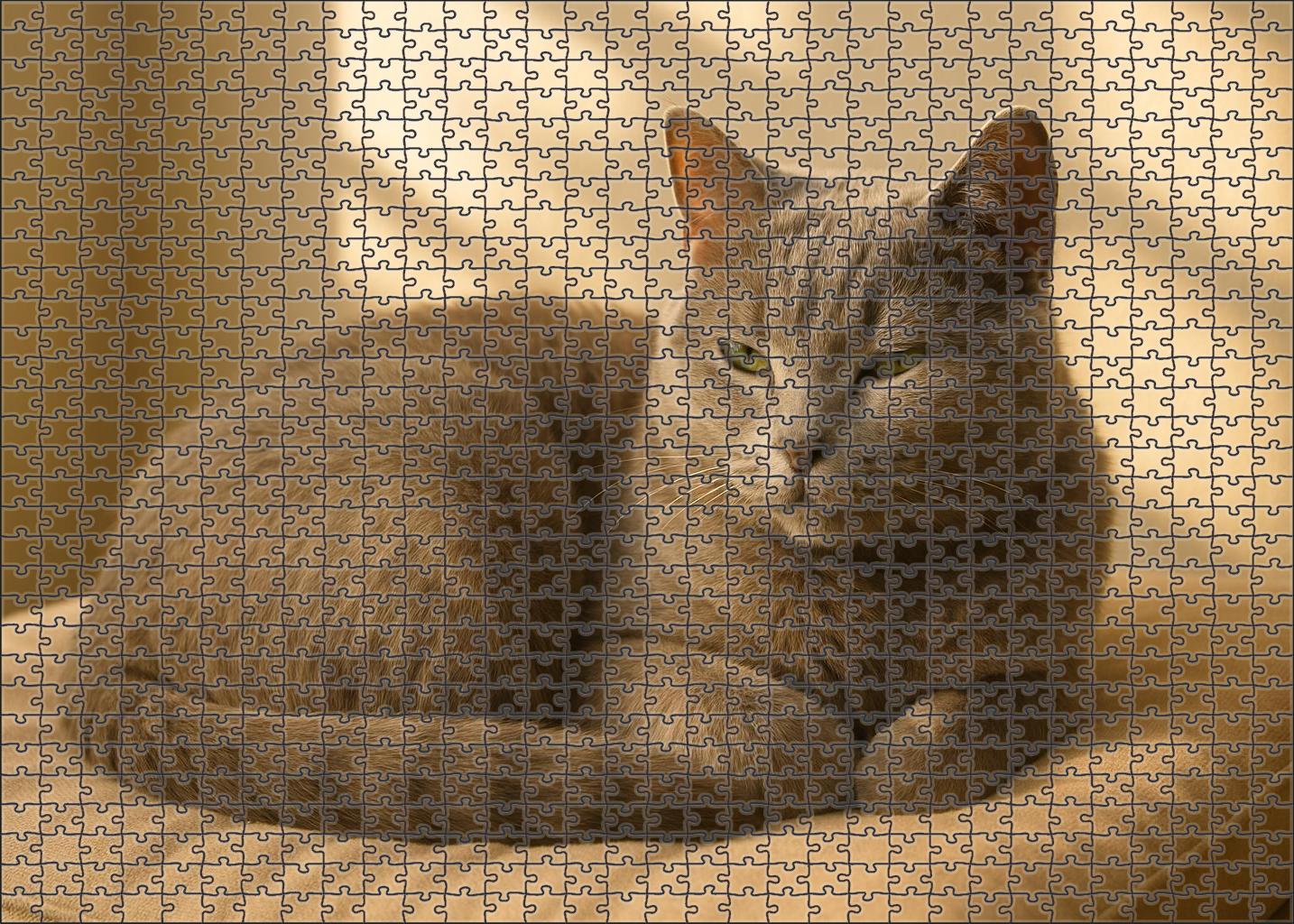 Moonlit Velvet Soft Grey Plushcoat With Calm Demeanor Mini Puzzle