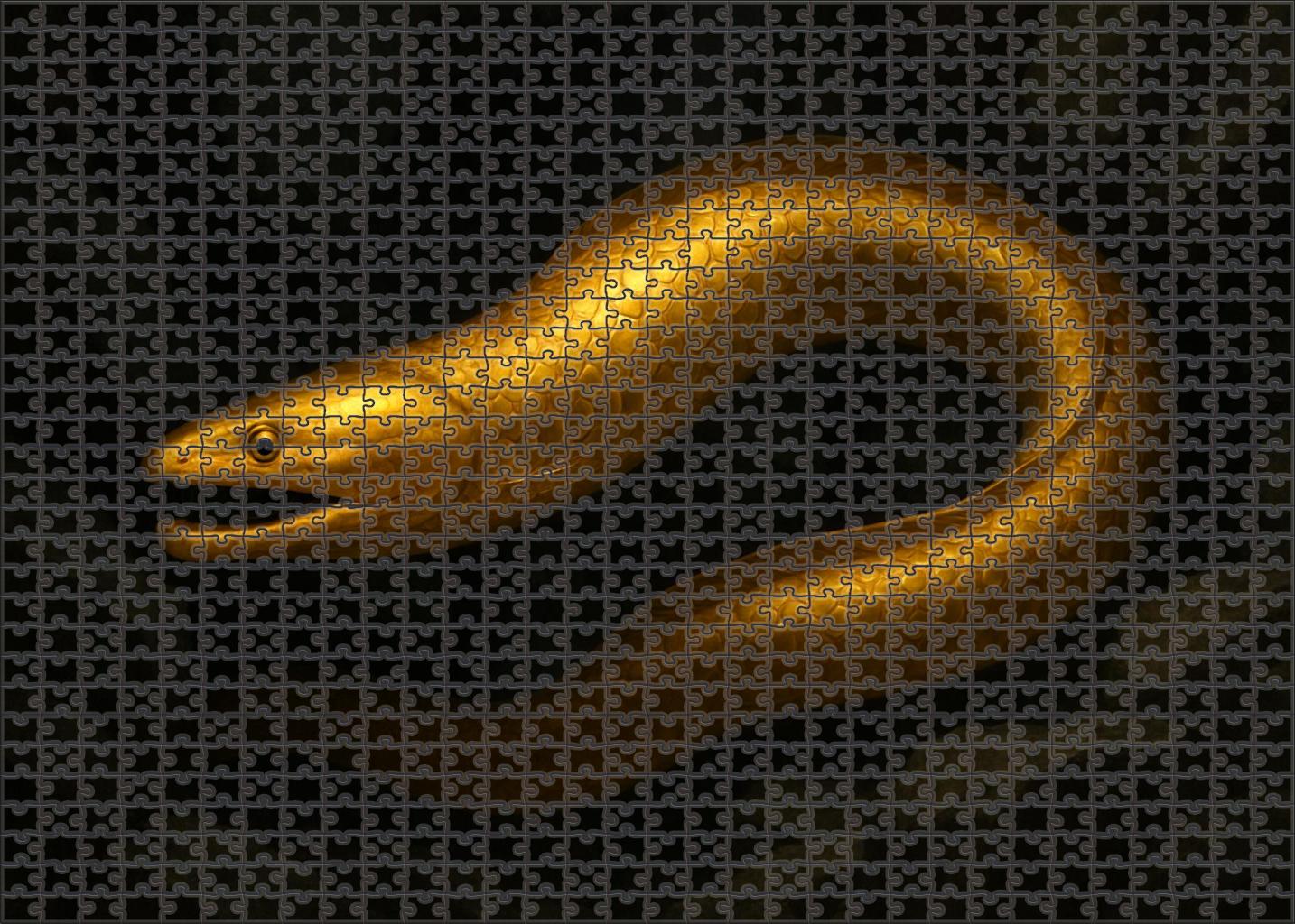 Golden Ribbon Eel Elongated Ambush Predator With Shimmering Scales Mini Puzzle