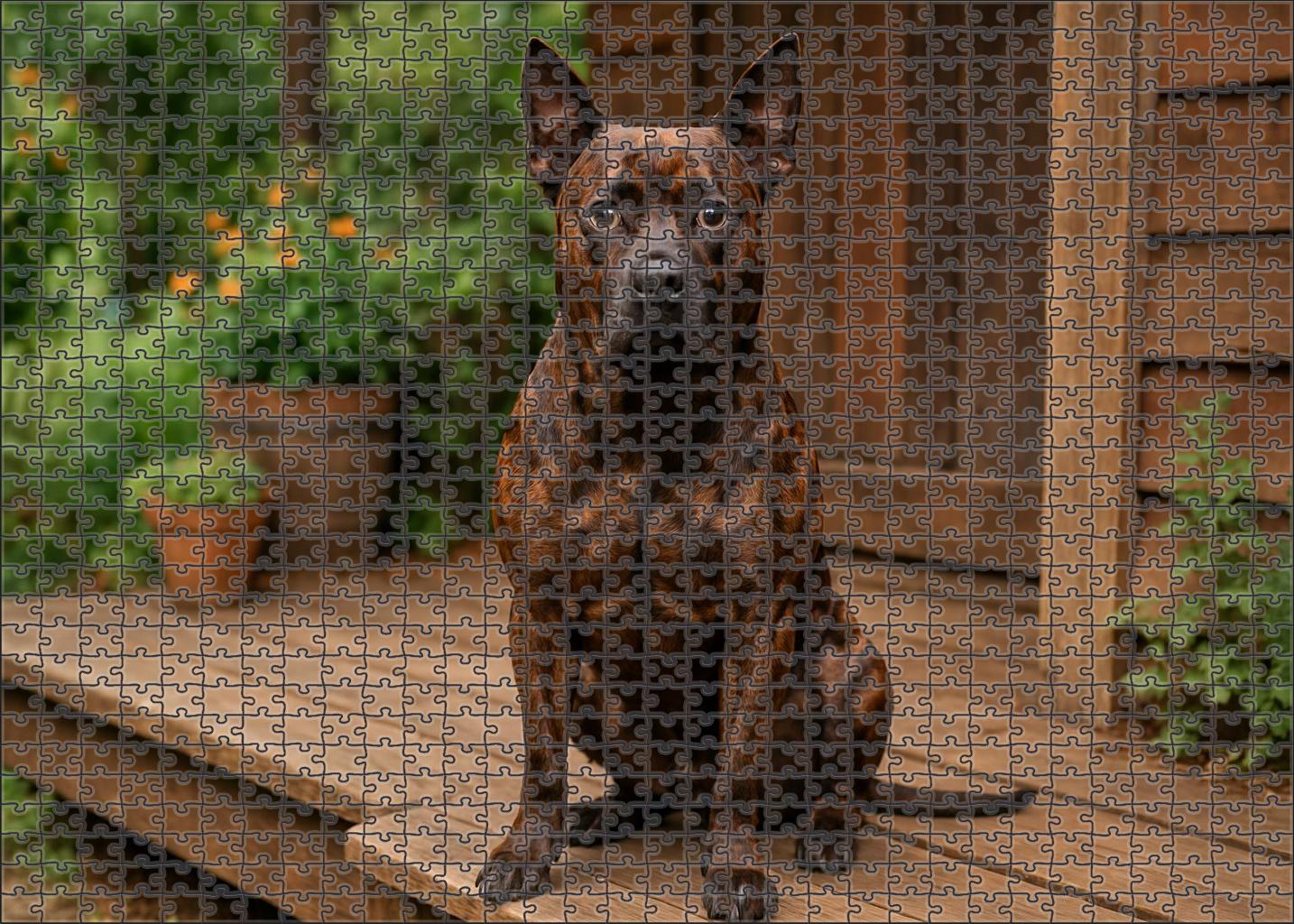 Maple Stripe Family Puzzles