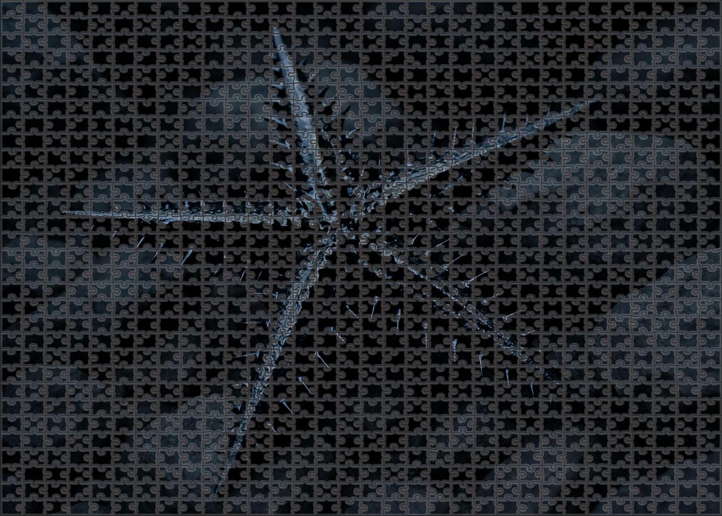 Obsidian Spiny Star Blackened Echinoderm With Sharp Defensive Rays 200 Piece Puzzle