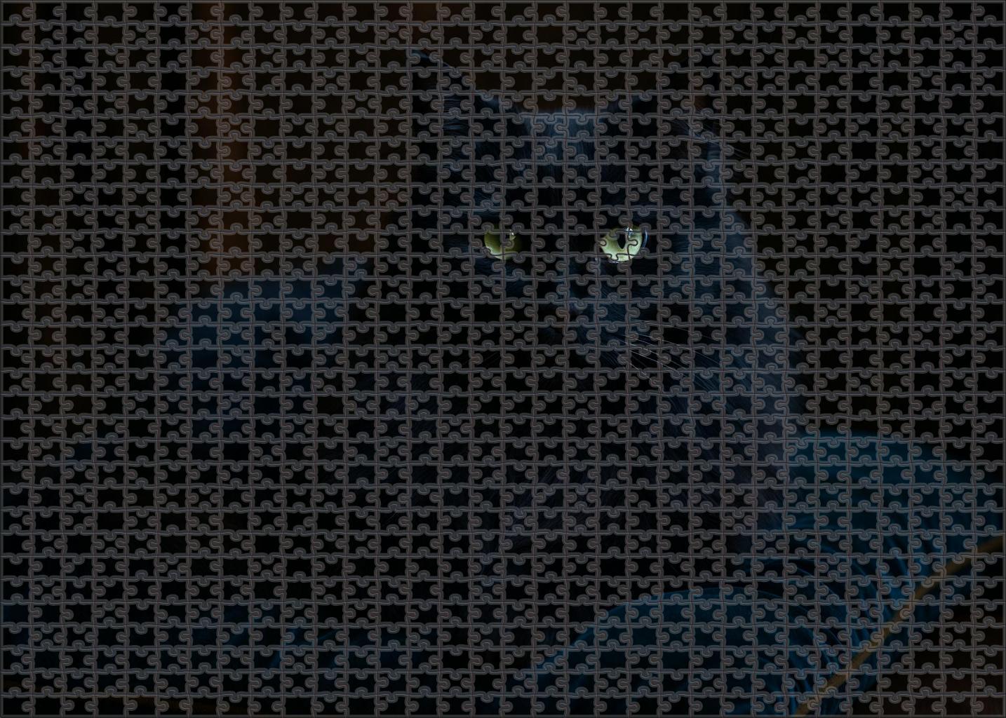 Midnight Opal Deep Blue-black Longhair With Gentle Mystery 200 Piece Puzzle