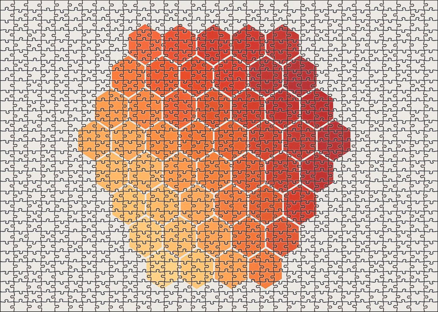 Hexagonal Grid Demographic Overlay 300 Piece Puzzle