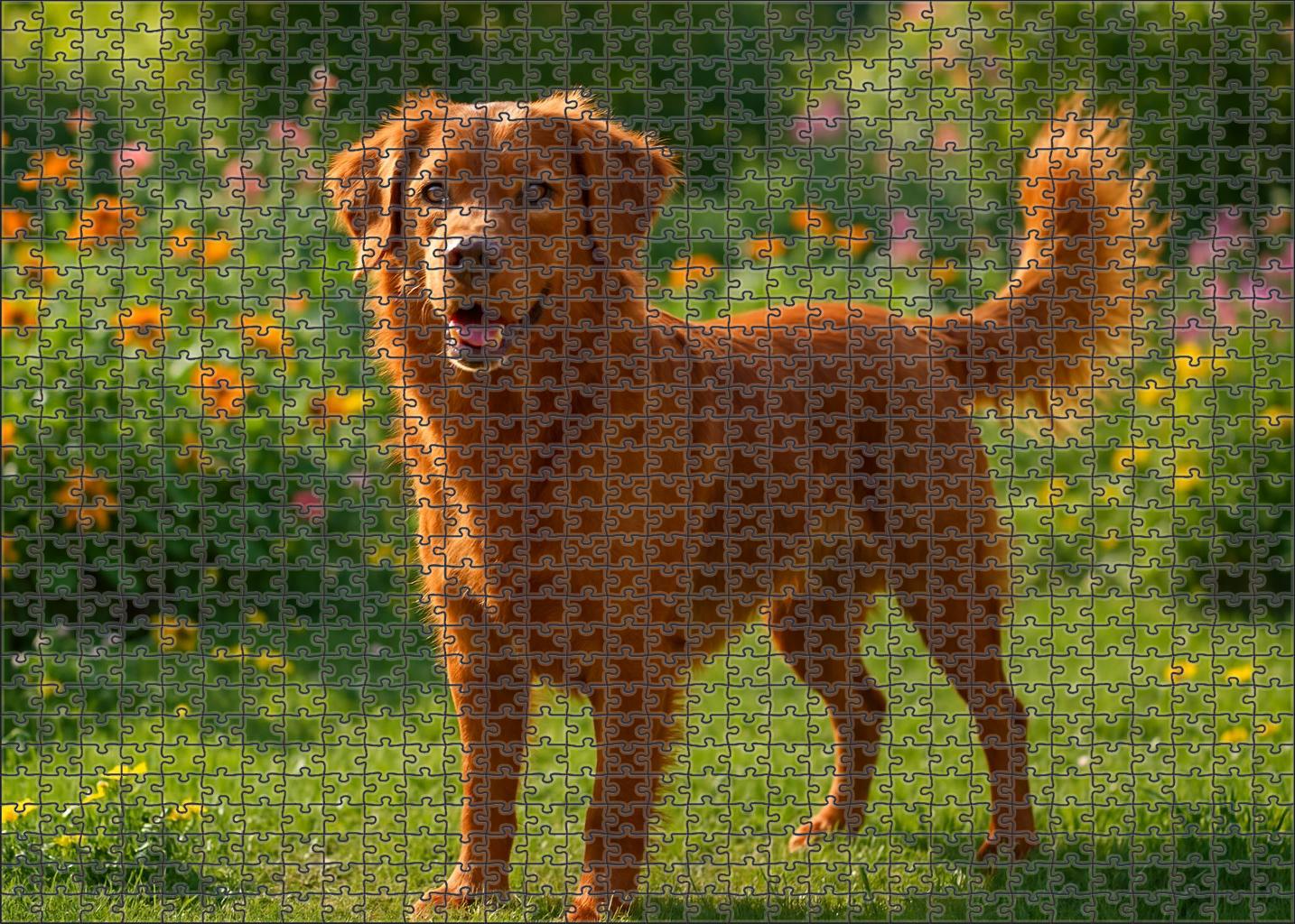 Rusty Redcoat Puzzle For Kids