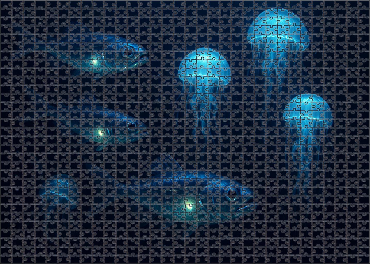 Midwater Lantern Drift Puzzle For Adults