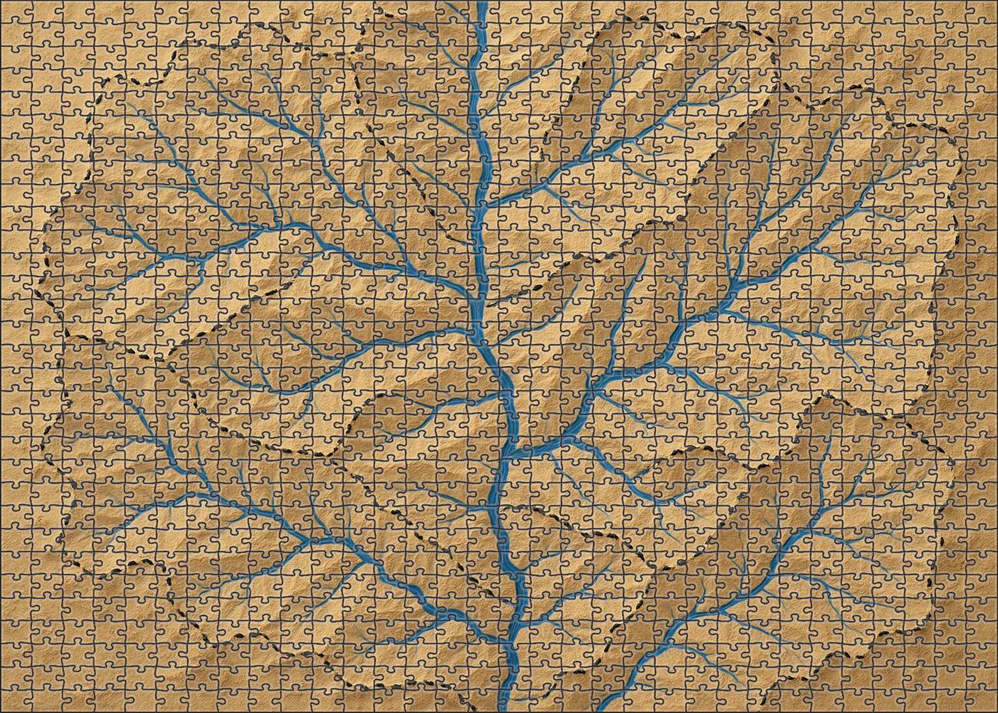 Fluvial Basin Hydrology Map Puzzle For Adults