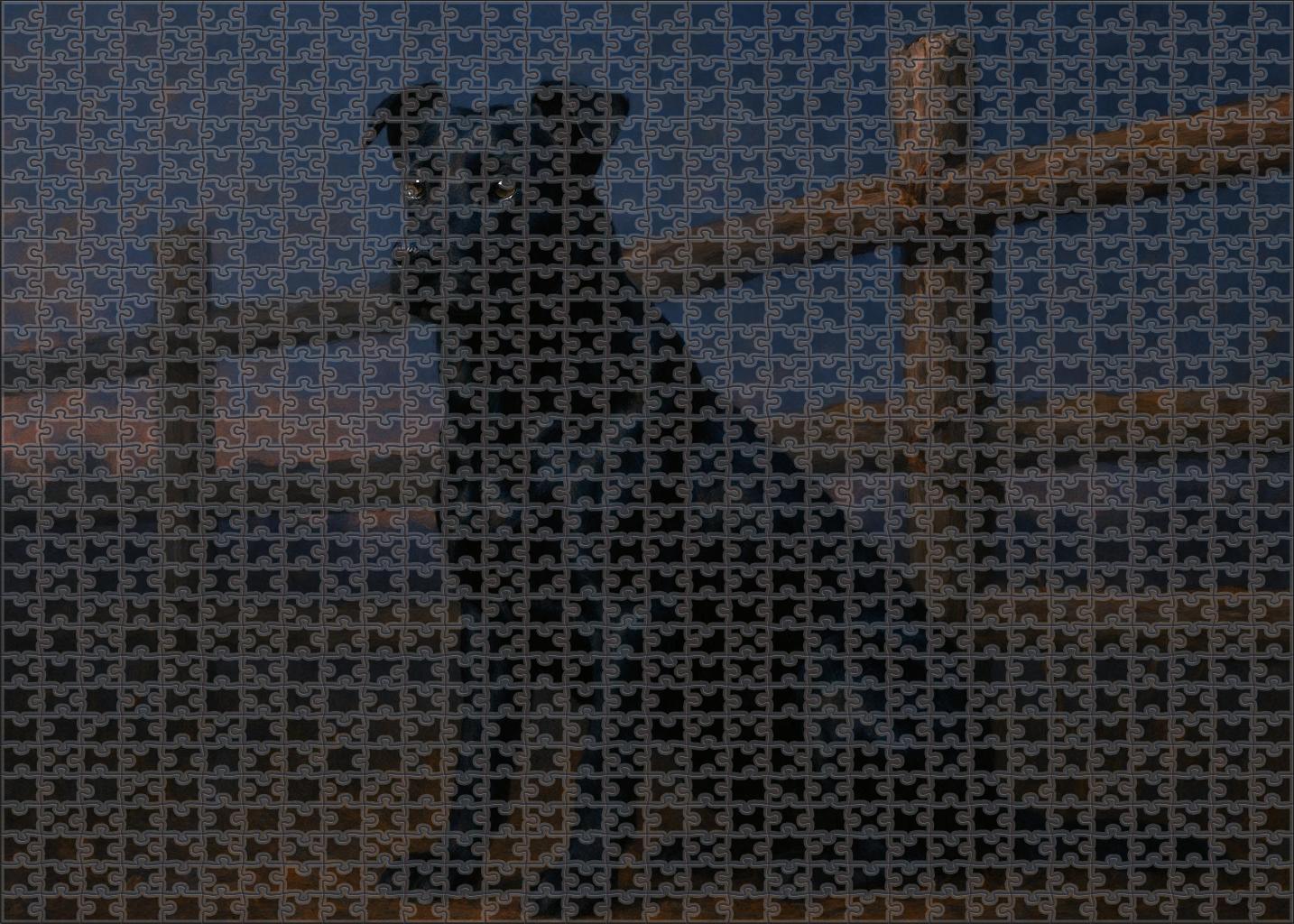 Obsidian Pelt Dense Black Guard Dog With Steady Temperament Puzzle Collection