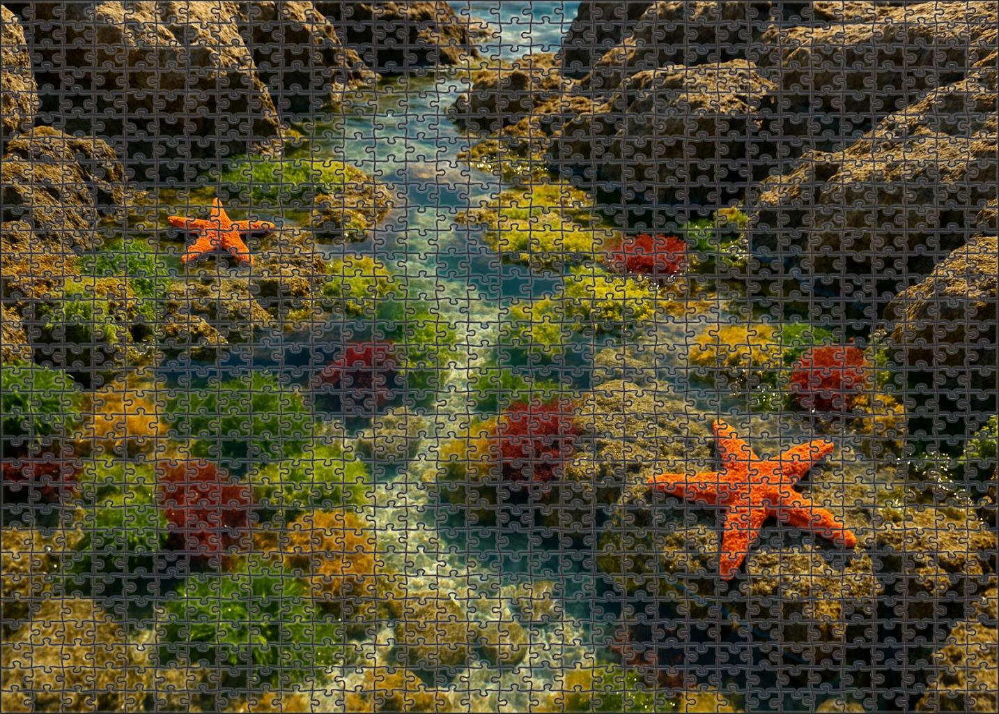 Opaline Tide Pool Haven 1000 Piece Puzzle