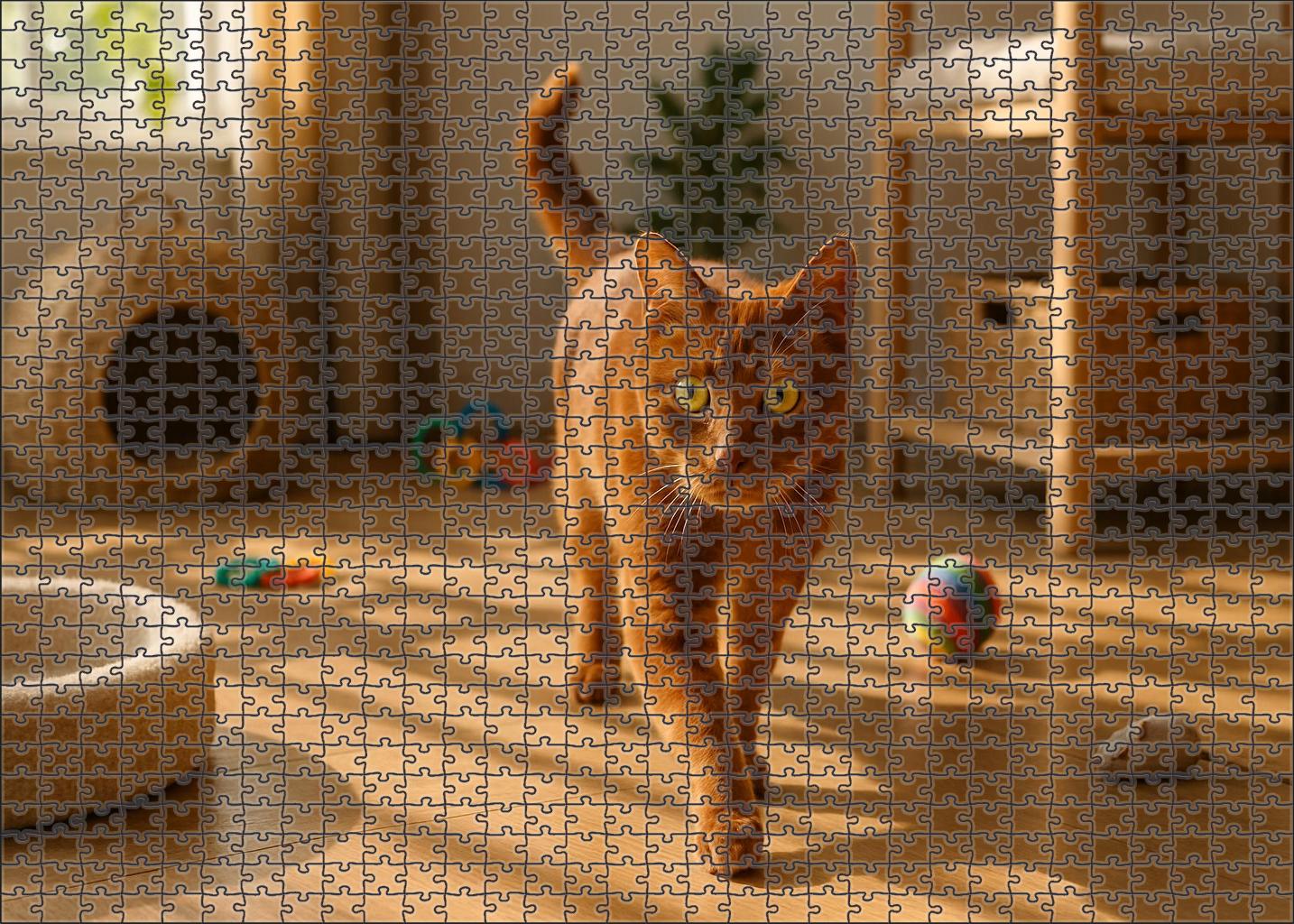Copper Glint Short Rust Coat With Lively Curiosity Puzzle Fun