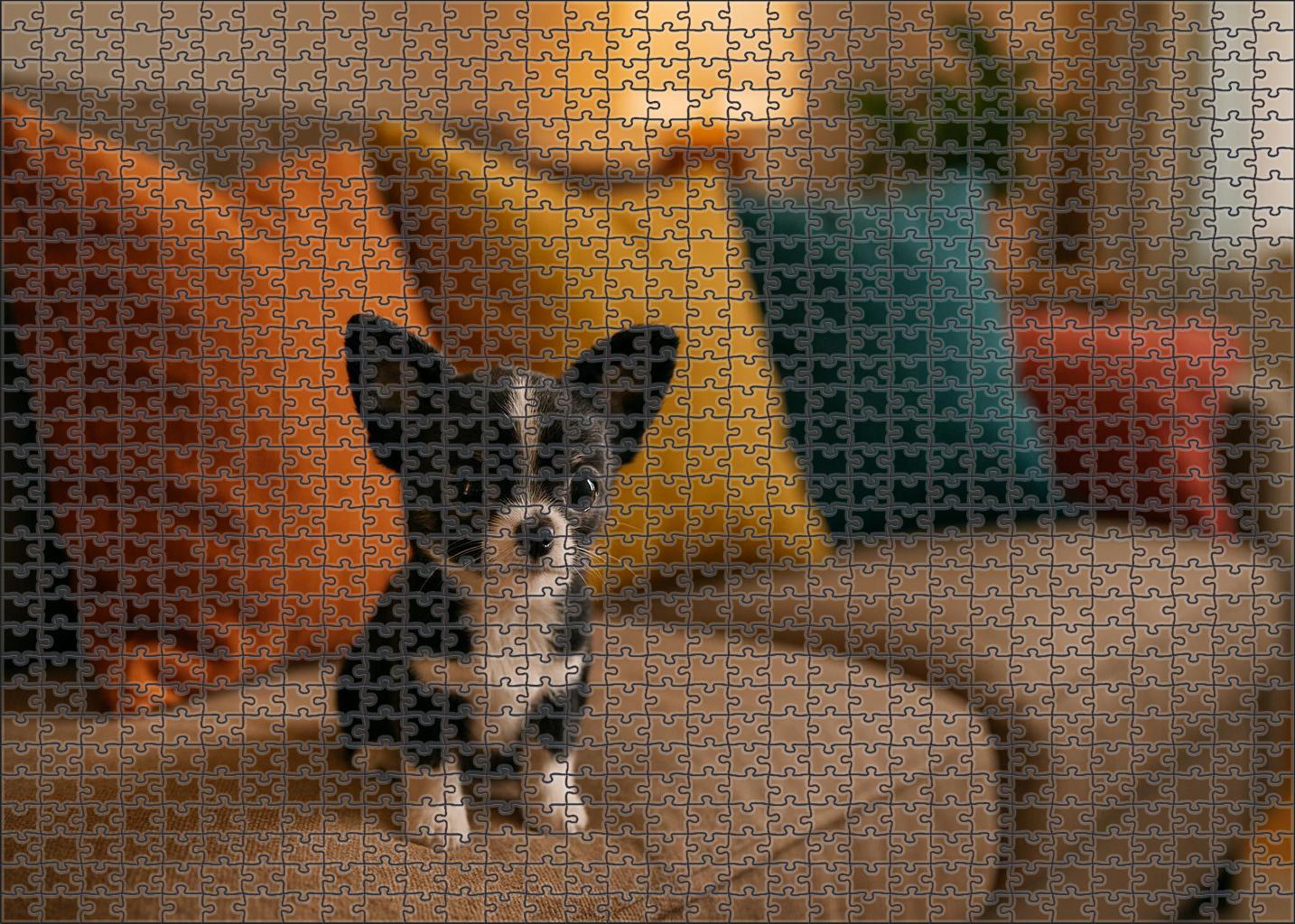 Onyx Patter Sleek Black-and-white Toy Companion With Spirited Playfulness Custom Jigsaw Puzzle