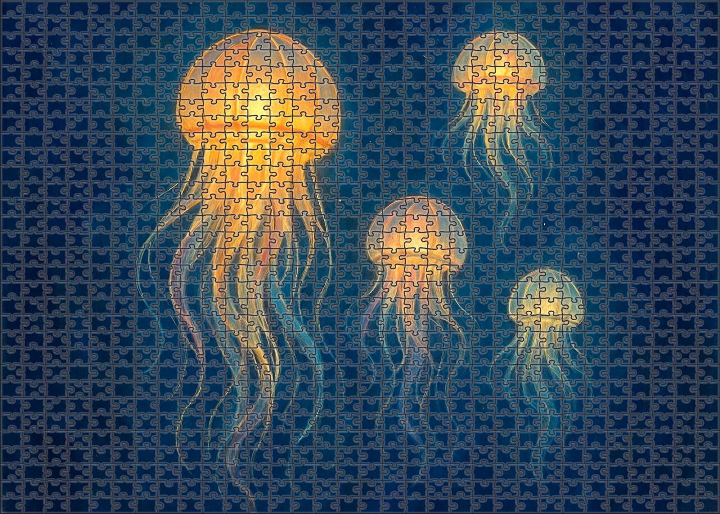 The Jellyfish Lantern Festival Puzzle Collection