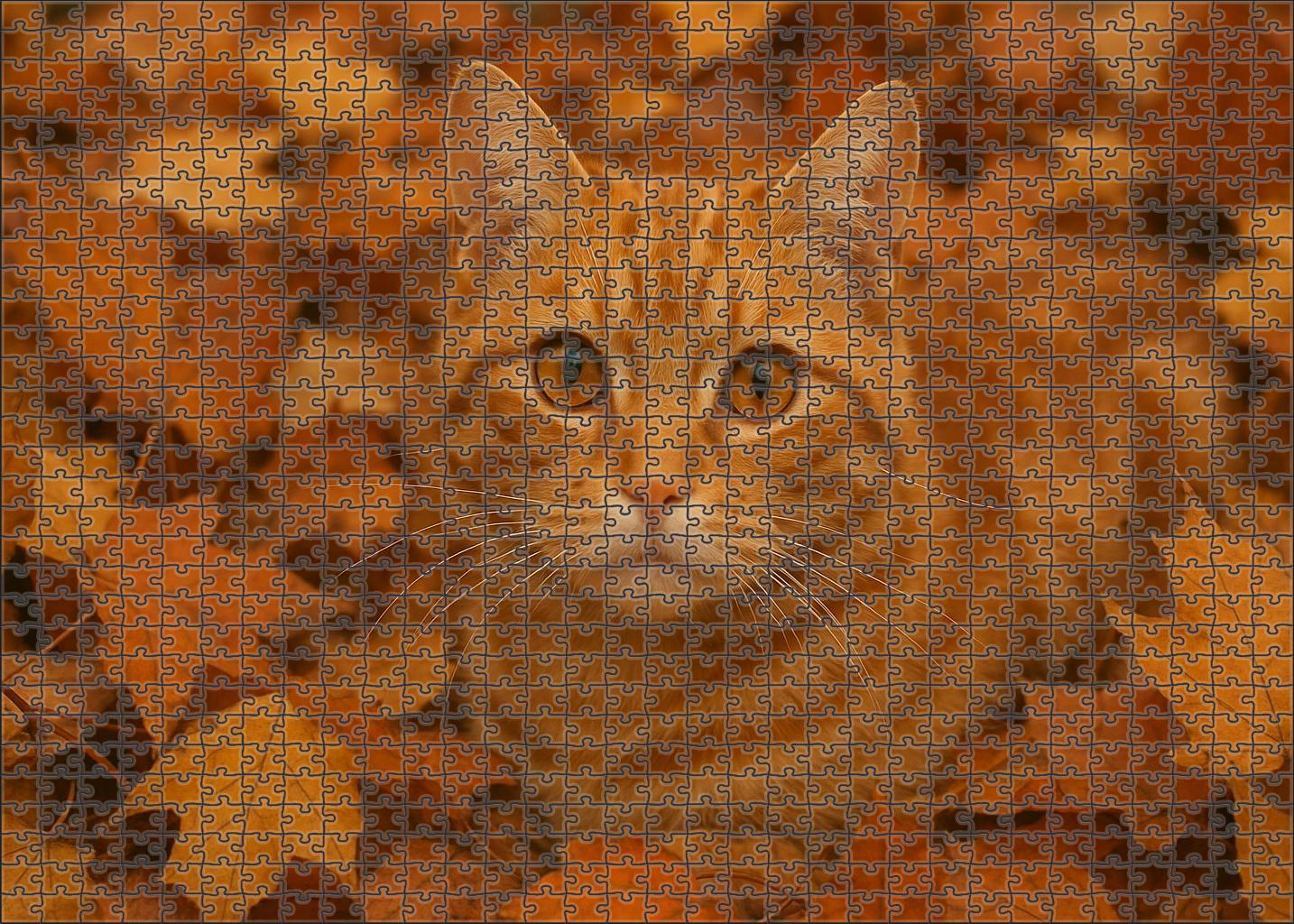 Saffron Whisker Warm Ginger Tabby With Affectionate Charm 1000 Piece Puzzle