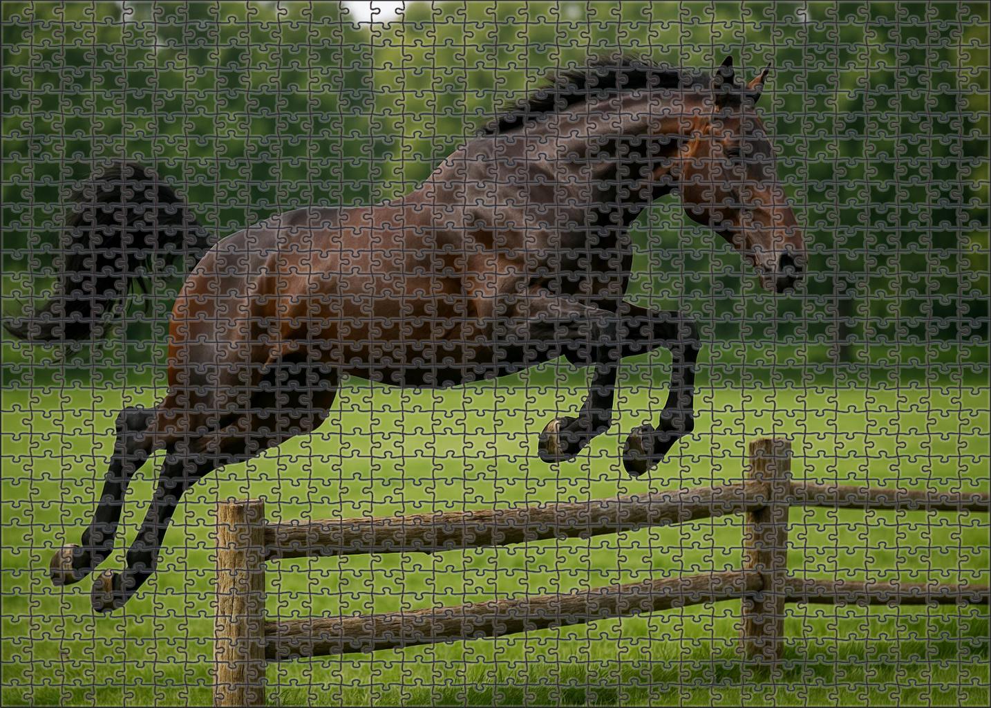 Sapphire Ridge Hunter Sleek Dark Bay Mare With Graceful Precision Custom Jigsaw Puzzle