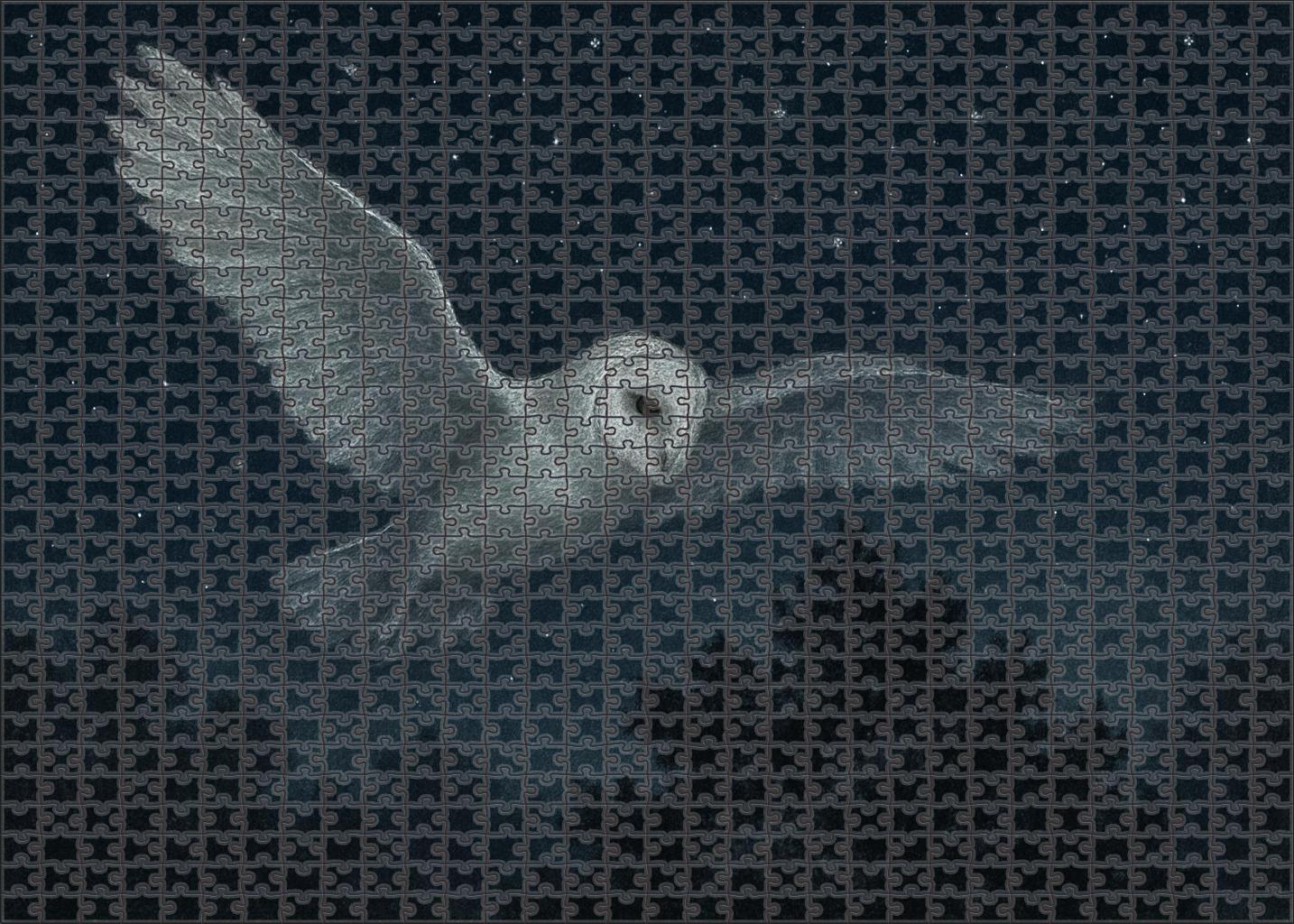 Moonlit Veil Ghostly Nocturnal Flyer With Whisper-quiet Wings 200 Piece Puzzle