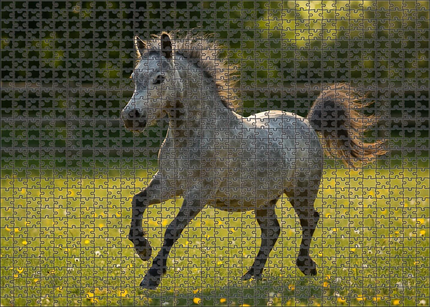 Silver Moon Mist Ethereal Dapple Gray Pony With Lively Spirit 200 Piece Puzzle